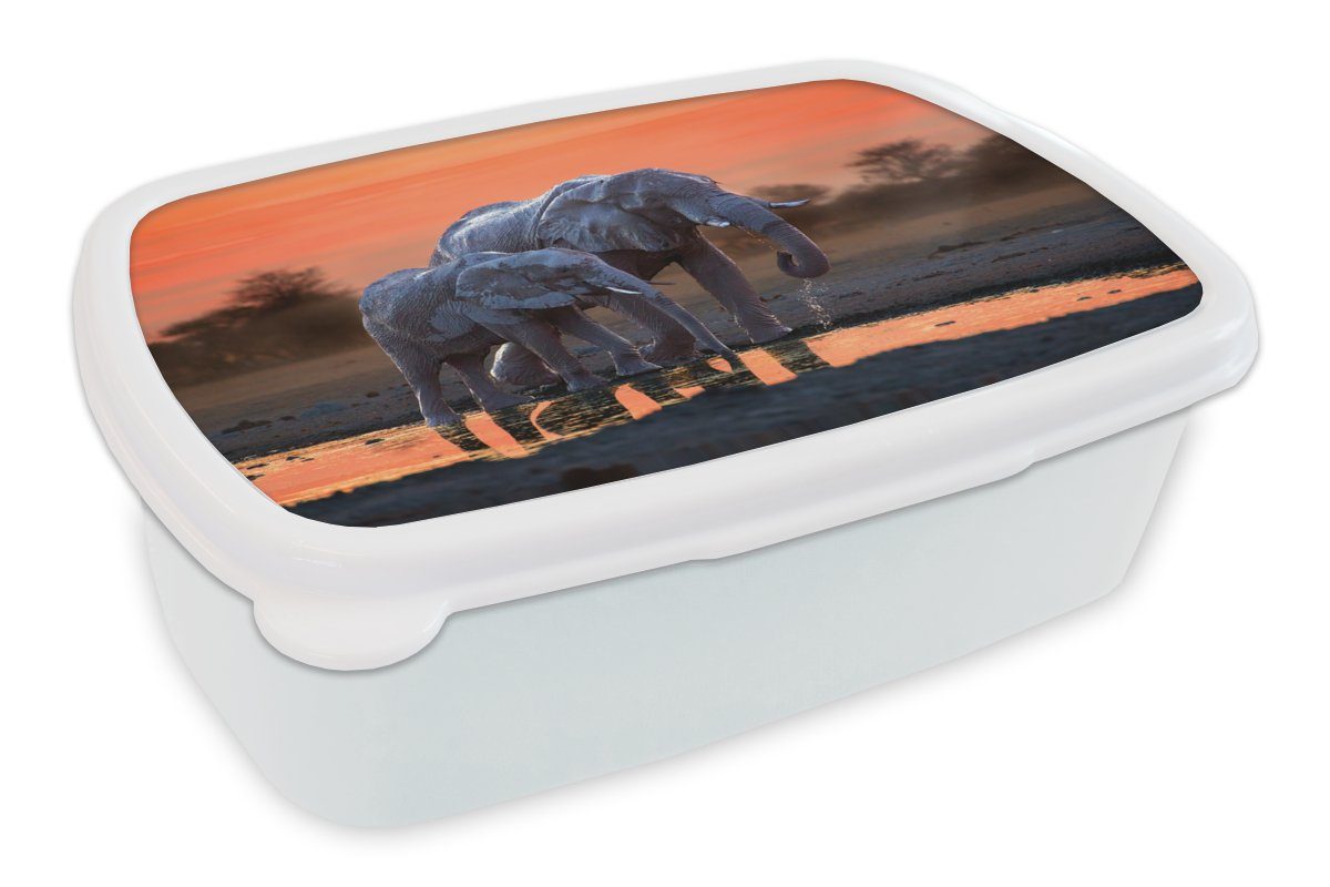 MuchoWow Lunchbox Elefant - Tiere - Sonnenuntergang - Wasser - Orange, Kunststoff, (2-tlg), Brotbox für Kinder und Erwachsene, Brotdose, für Jungs und Mädchen weiß