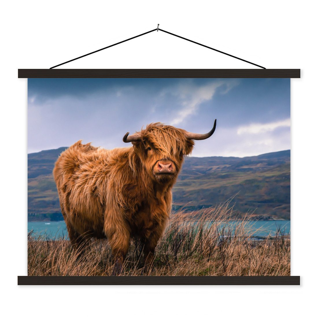 Poster Schottischer Highlander - Berg - Wasser - Natur - Kuh