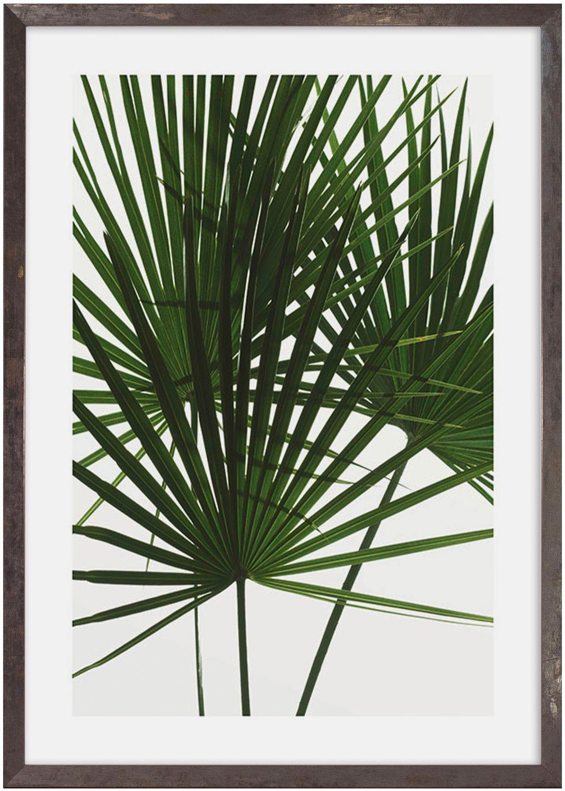 Komar Bild mit Rahmen Statement Greens, maschinell. € 78,99