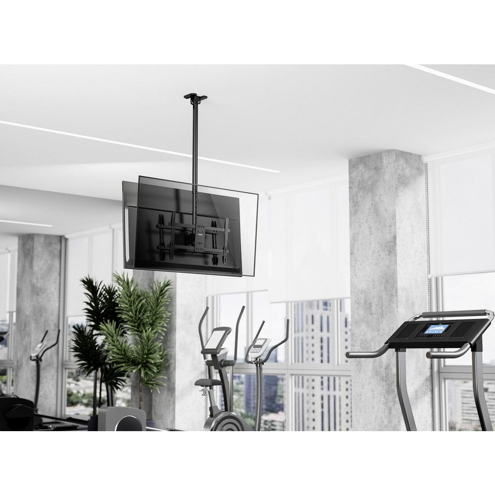 SpeaKa Professional TV-Wandhalterung SpeaKa Professional SP-TVCM-550 TV-Deckenhalterung 109,2 cm (43) - 21