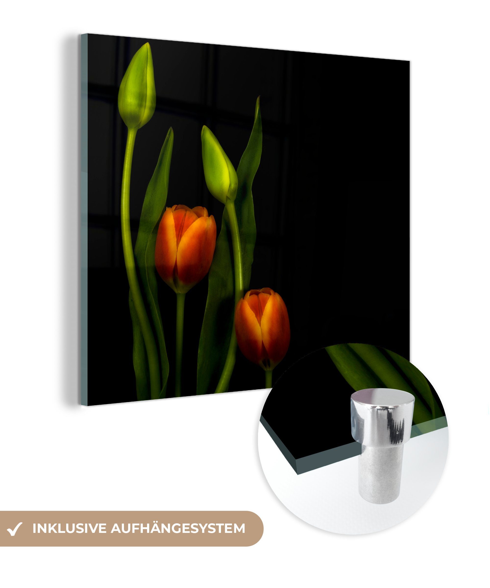 vor - Glasbilder auf Glas und einem Wanddekoration - Foto Wandbild St), auf Acrylglasbild Glas Orangefarbene Hintergrund, Tulpen Bilder - schwarzen Tulpenknospen (1 MuchoWow