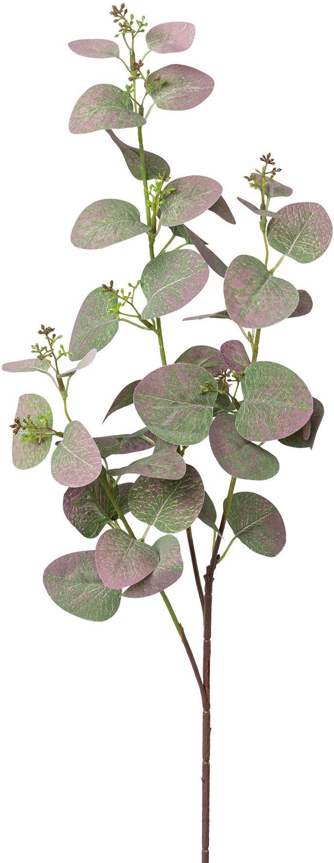 Kunstzweig Eukalyptuszweig Eukalypthus, Creativ green, Höhe 72 cm günstig online kaufen