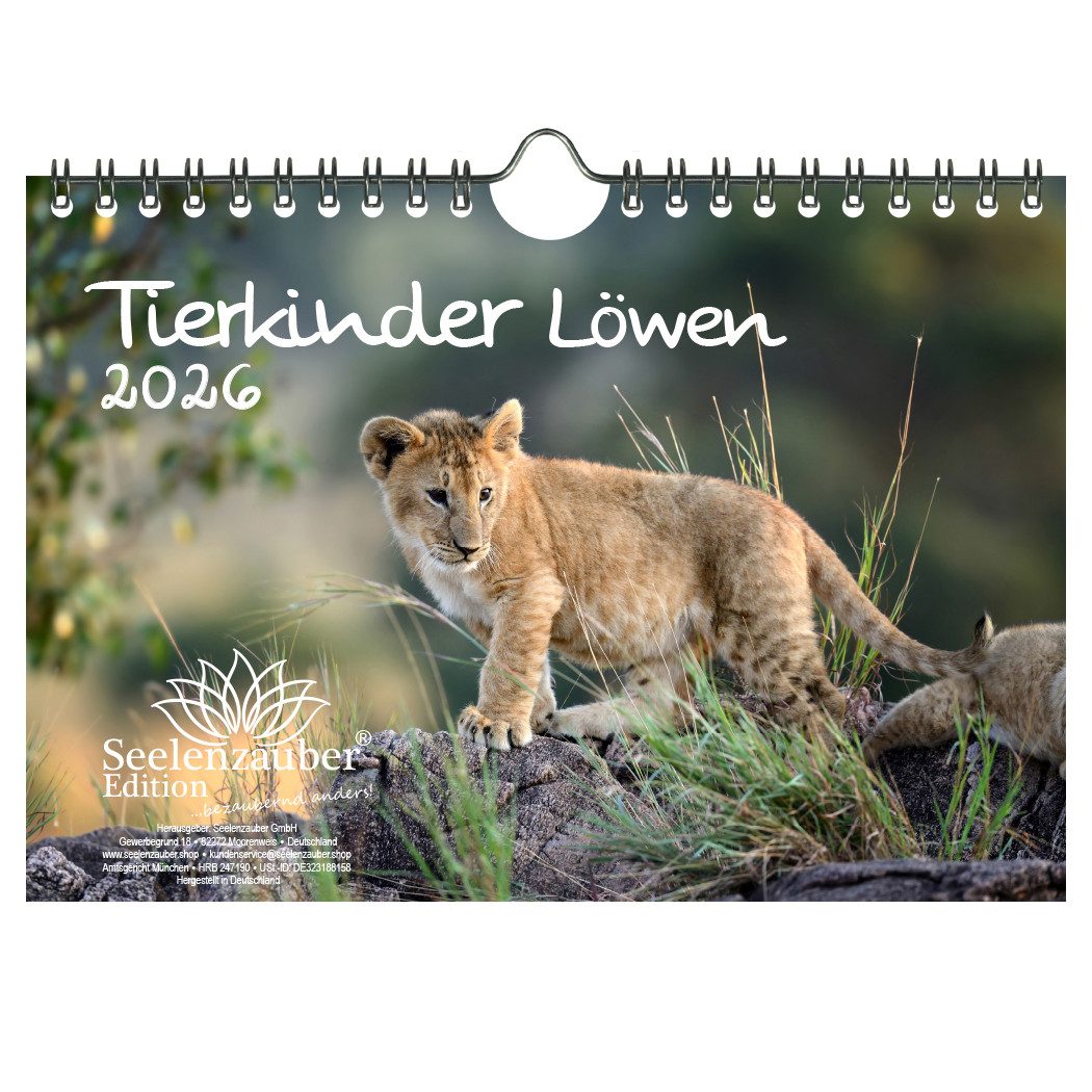 Seelenzauber Wandkalender Tierkinder Löwen DIN A5 Kalender für 2026 Löwenbabys - Seelenzauber