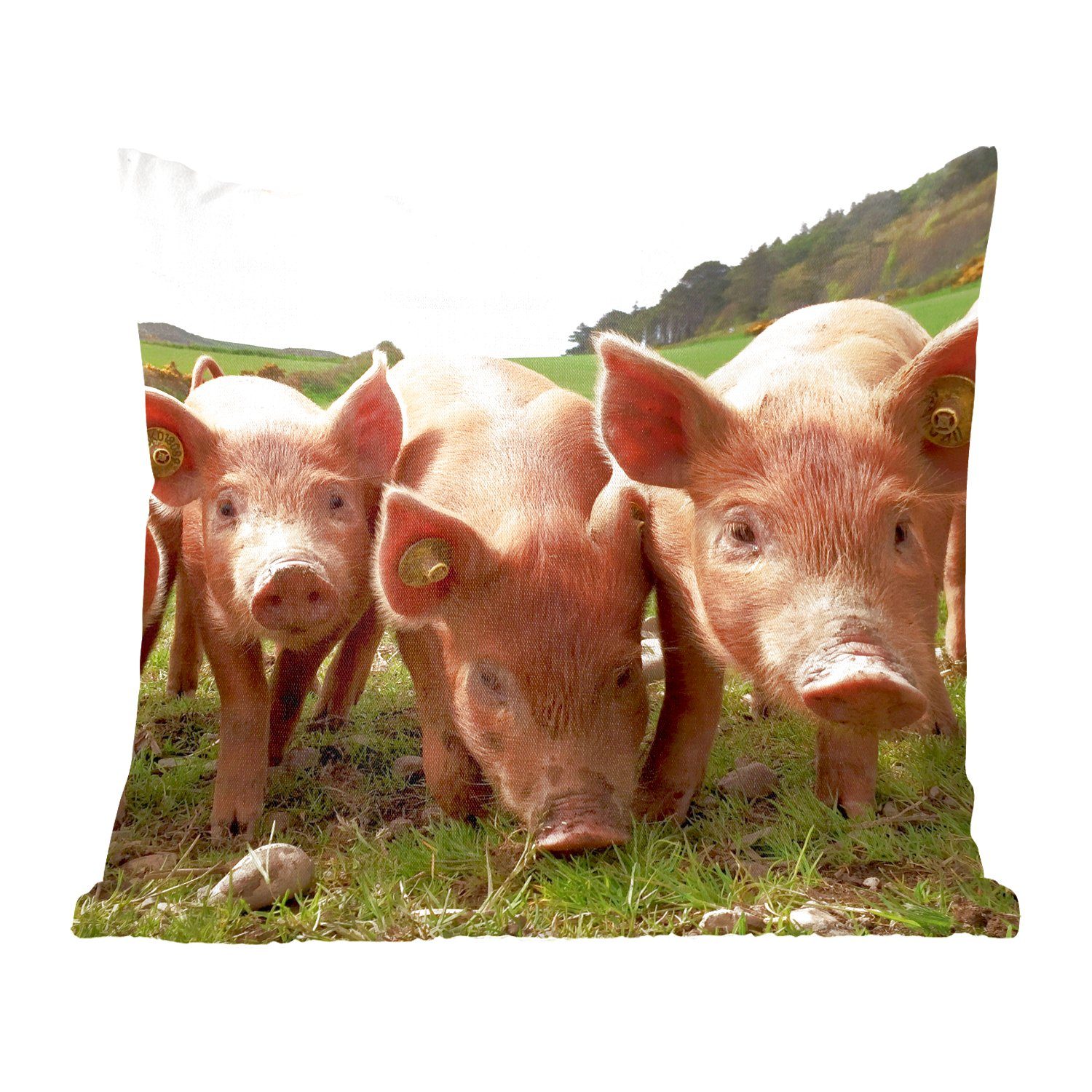 MuchoWow Dekokissen Schweine - Groß - Tiere, Zierkissen mit Füllung für Wohzimmer, Schlafzimmer, Deko, Sofakissen