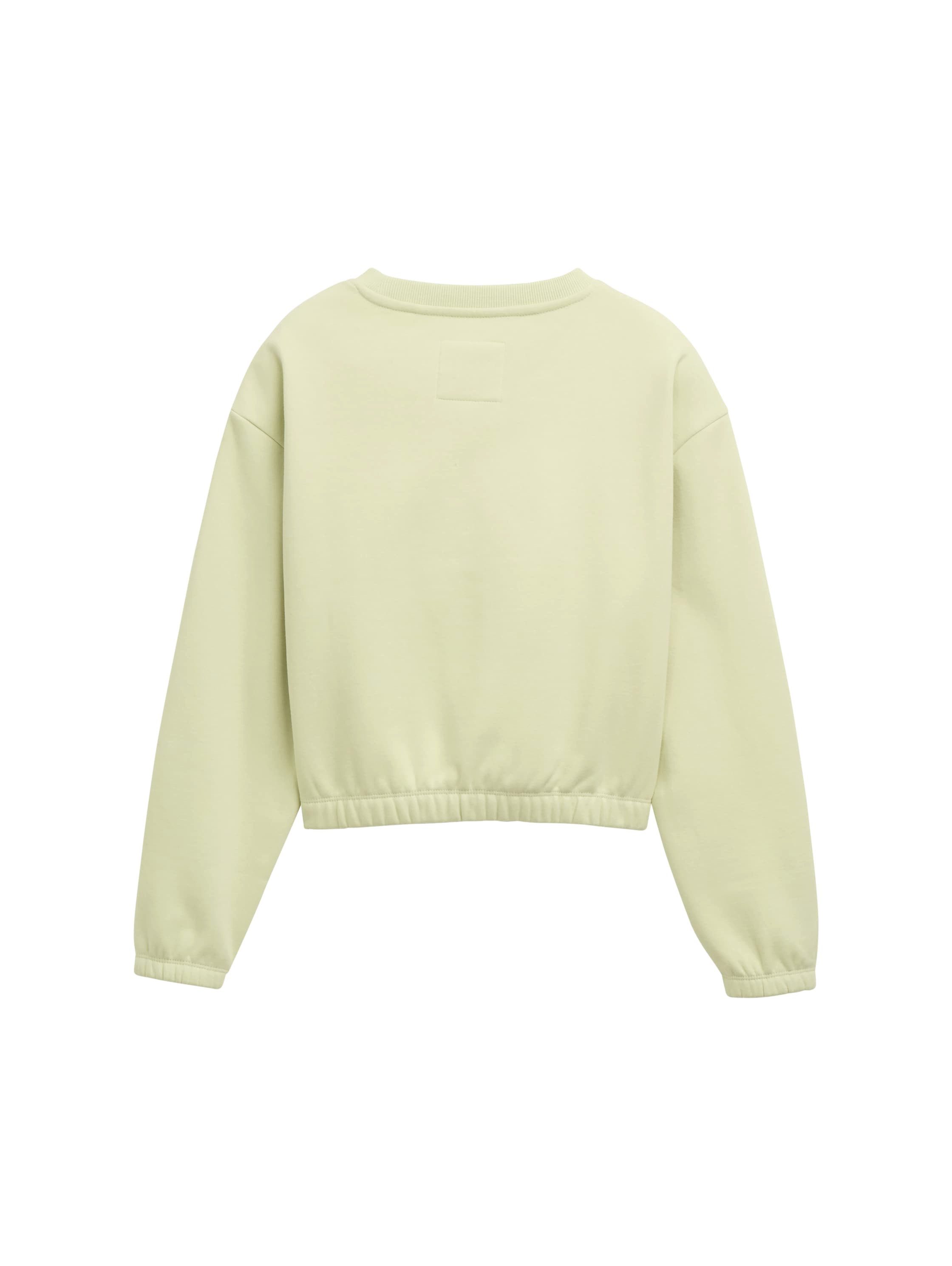 TOM TAILOR Sweater mit Statement-Print günstig online kaufen