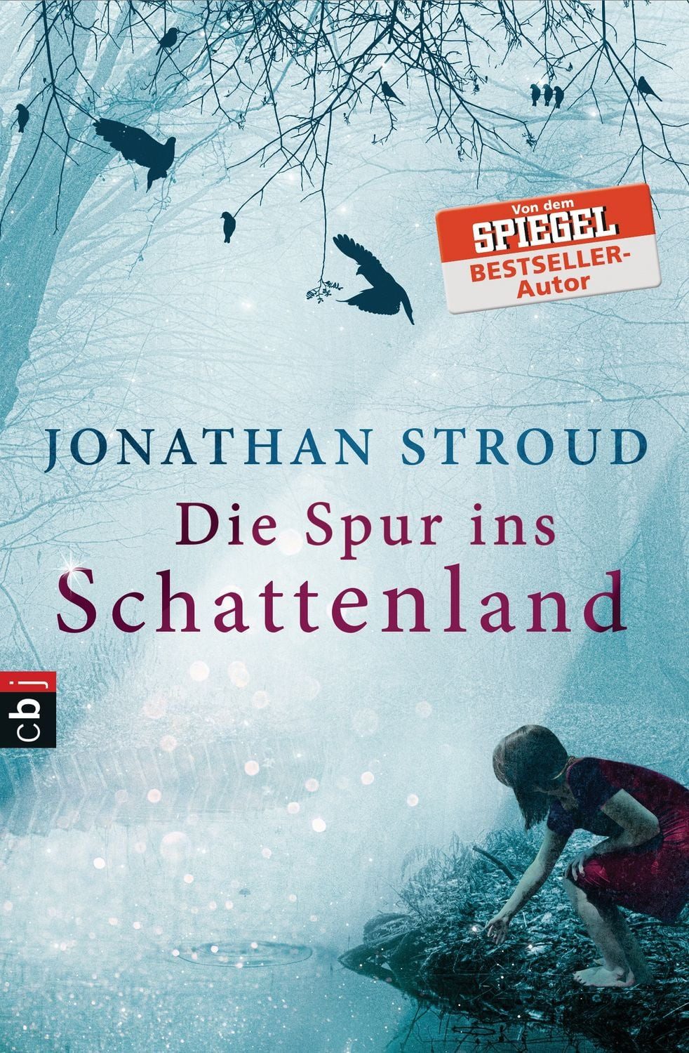 Kinderbuch Die Spur ins Schattenland Jonathan Stroud