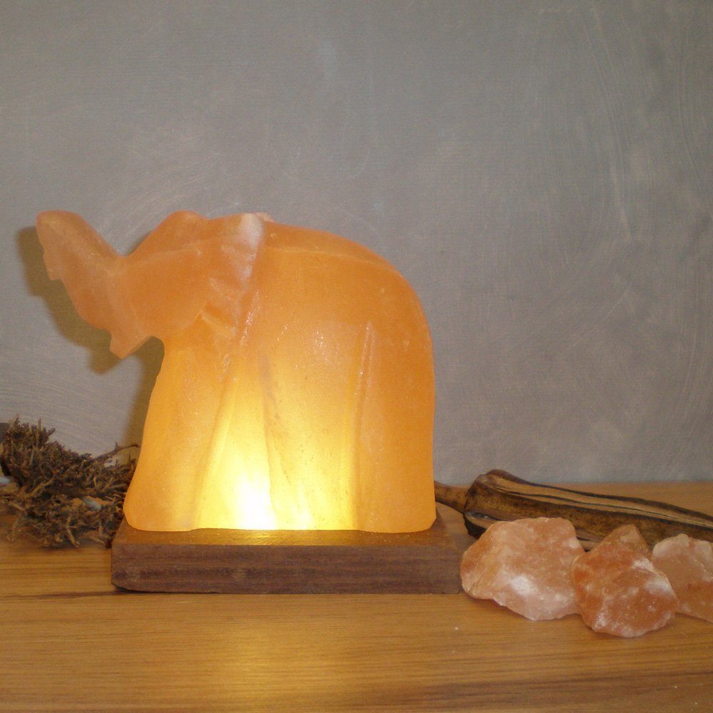 HIMALAYA SALT DREAMS aus Elefant, Salzkristall-Tischlampe ca.11 H: jeder Unikat, - wechselbar, Stein cm Salzkristall ein Warmweiß, Handgefertigt LED