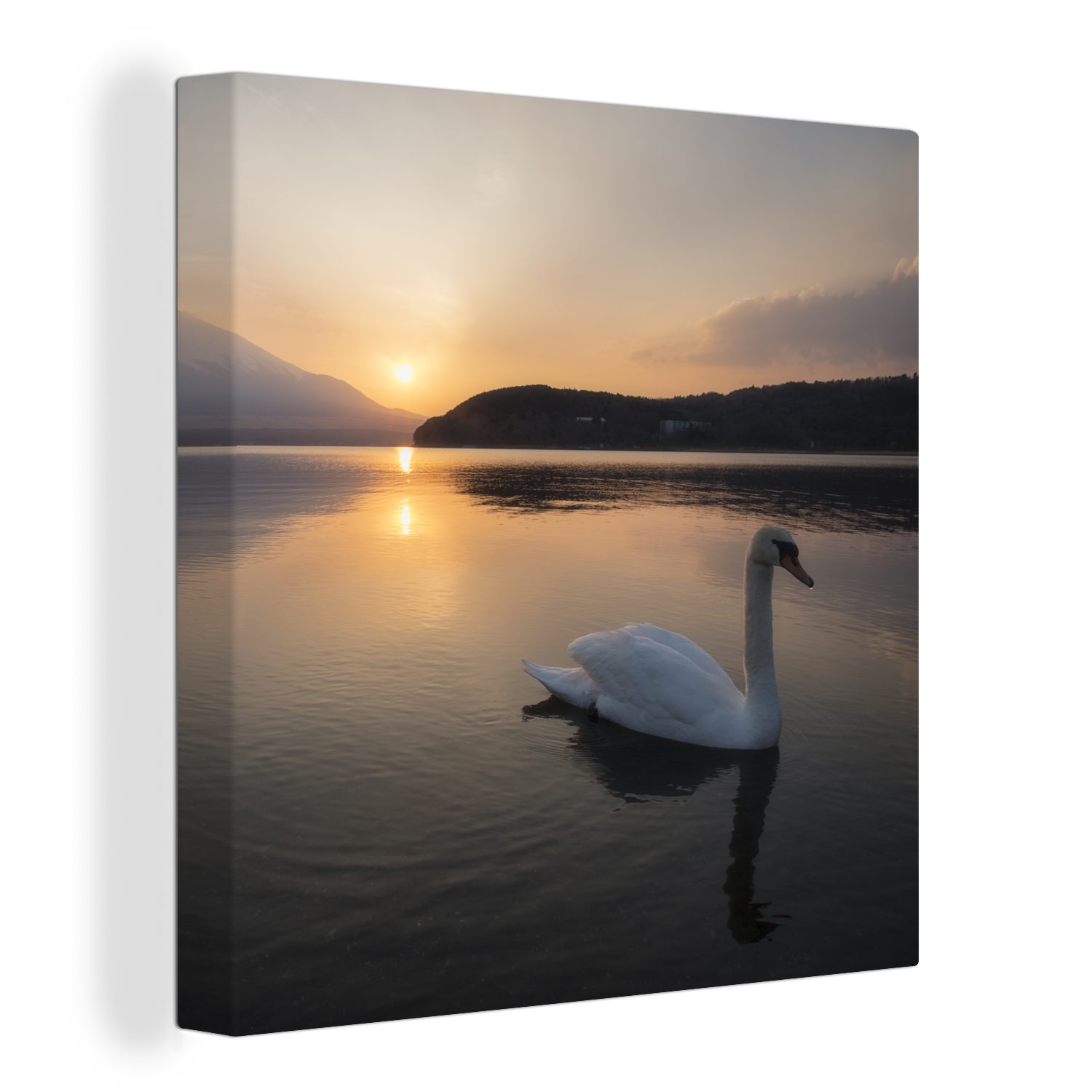 OneMillionCanvasses® Leinwandbild Schwan - Berg - Sonne, (1 St), Leinwand Bilder für Wohnzimmer Schlafzimmer