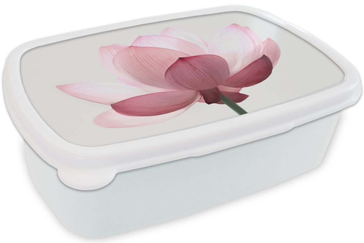 Botanisch, Erwachsene, Kinder Brotbox weiß Lunchbox - Brotdose, MuchoWow Rosa Jungs Kunststoff, Mädchen (2-tlg), für und für und Blumen - - Natur