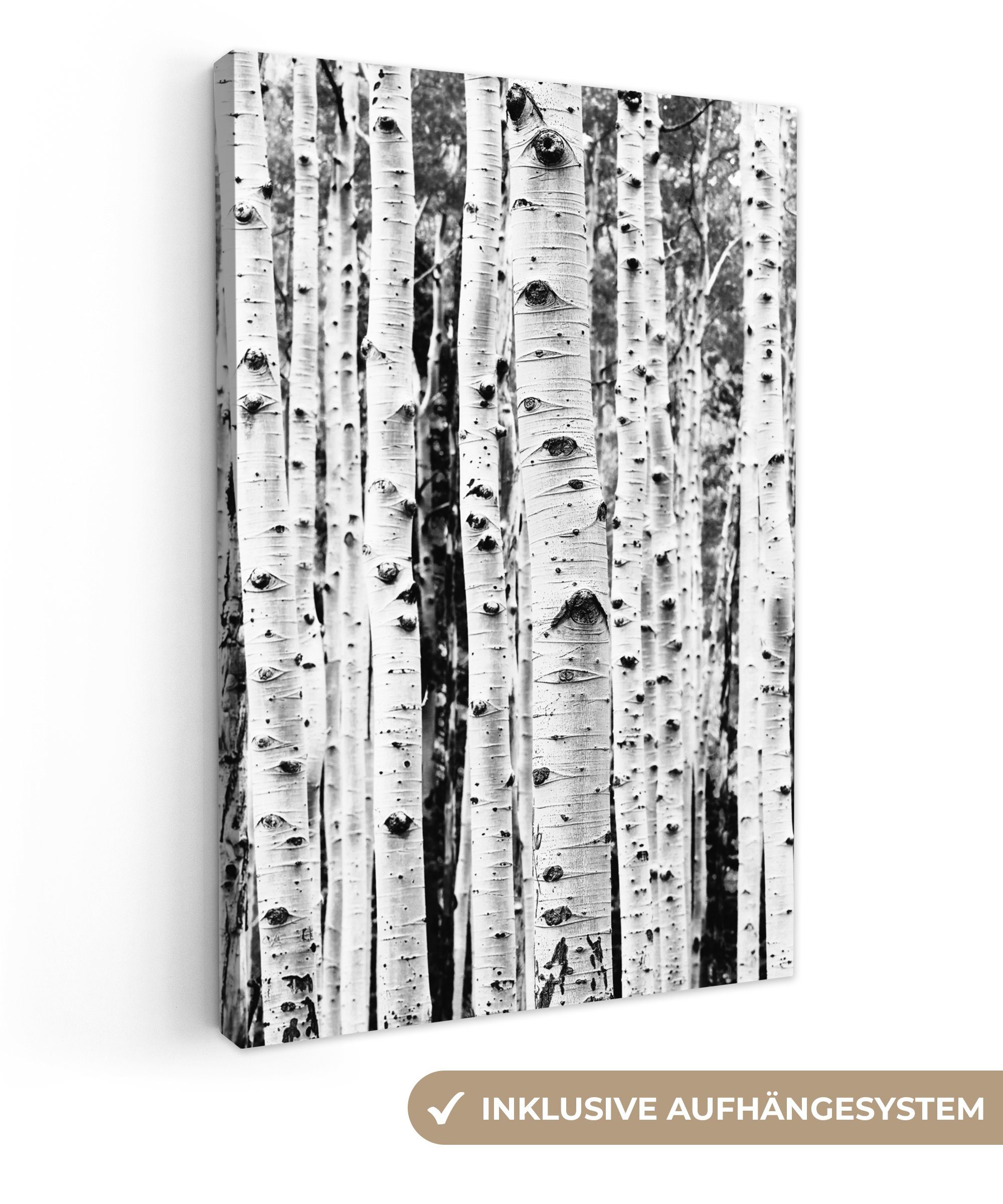 OneMillionCanvasses® Leinwandbild Bäume - Holz - Schwarz und weiß - Natur, Fotodruck (1 St), Leinwand Canvas Wandbild, Wanddekoration 20x30 cm