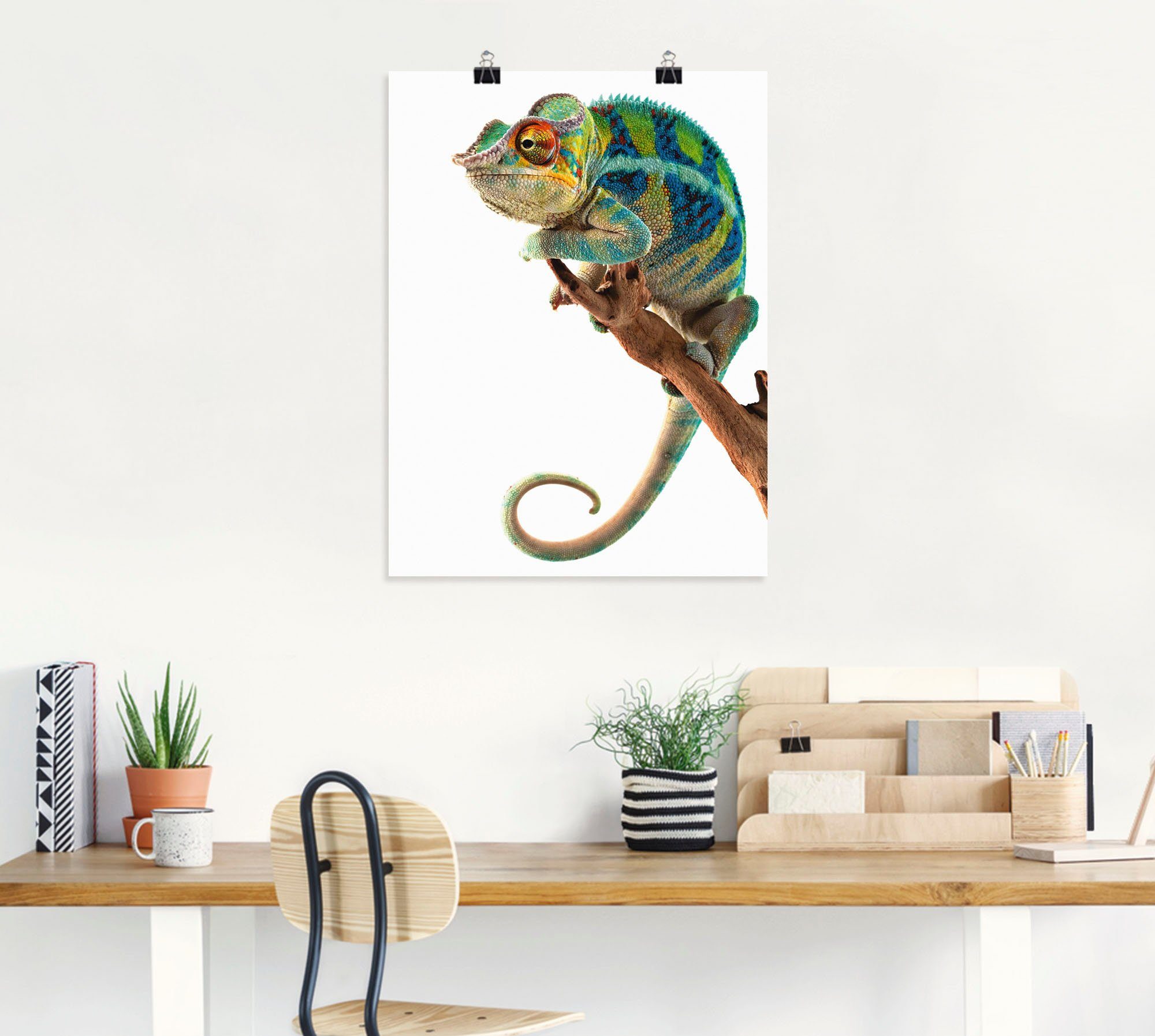 Chamäleon, Artland Poster Wandaufkleber Leinwandbild, Alubild, versch. Reptilien Größen in Wandbild oder Panther (1 als St), Ambanja