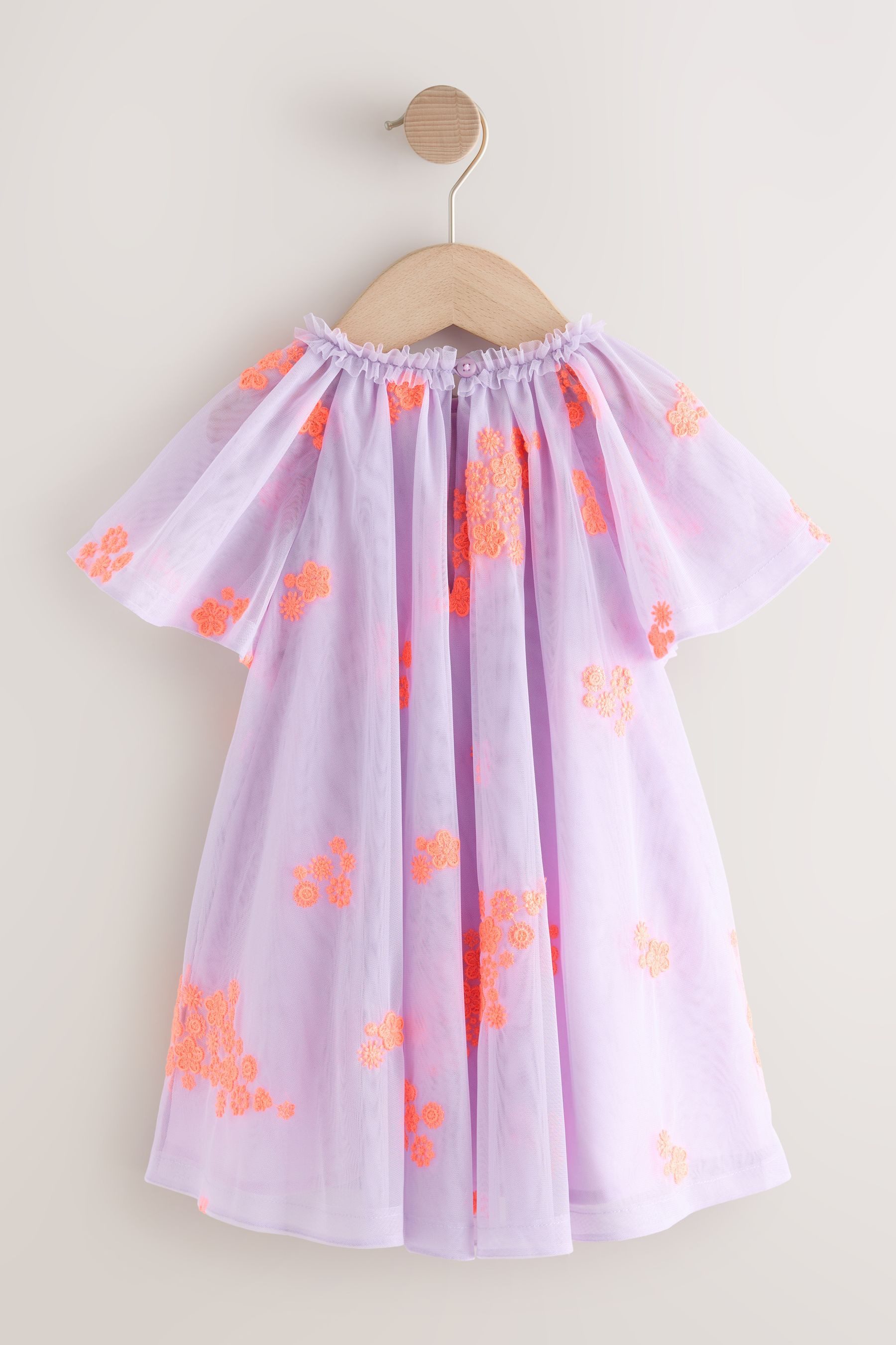 Next Meshkleid Meshkleid mit Engelsärmeln (1-tlg)