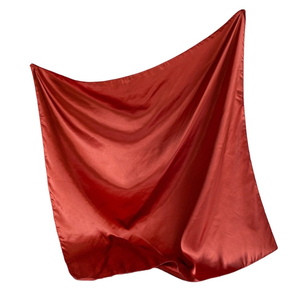 Zaewry Seidentuch Damen Seidenschal – leichtes Halstuch, Kopftuch & Bandana, elegantes Tuch für Frauen, Geschenkidee