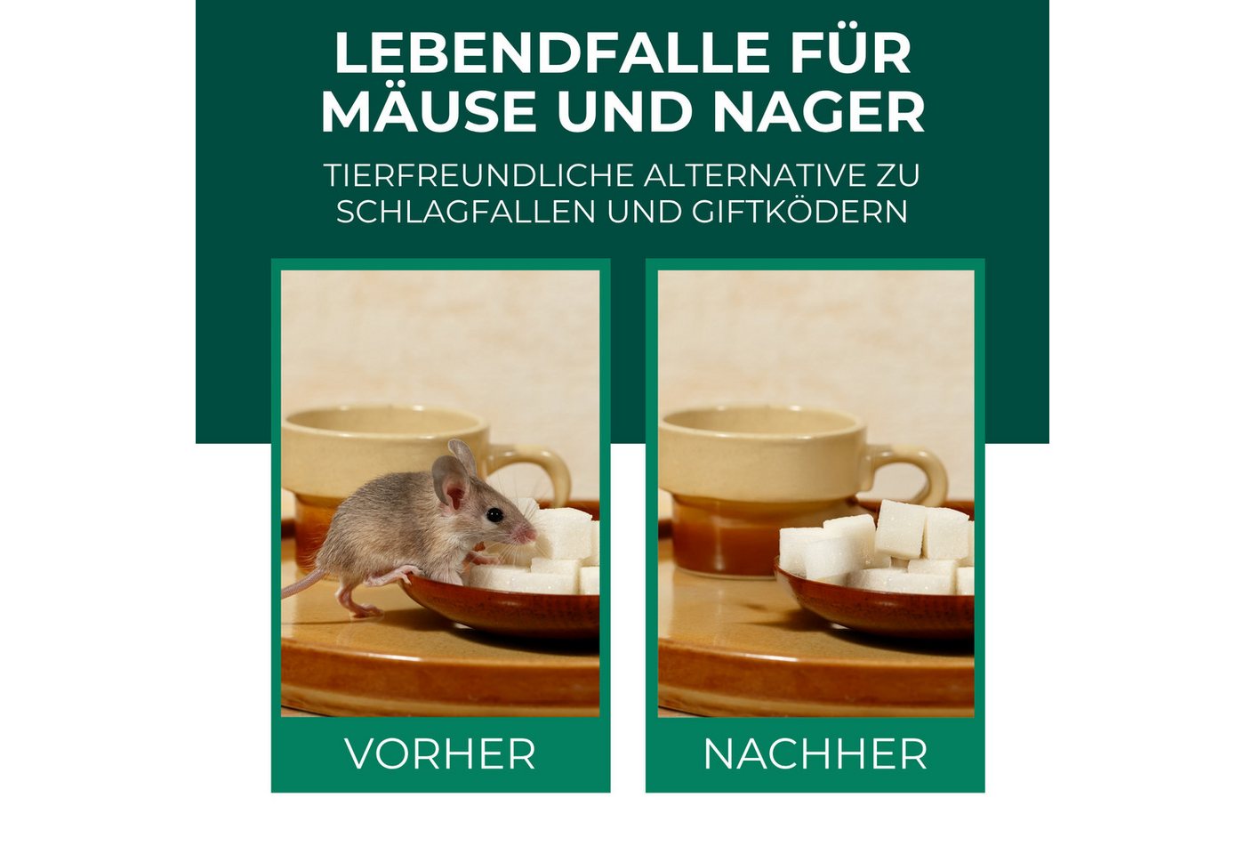 Thumbnail - Silberkraft Lebendfalle Lebendfalle für Mäuse – tierfreundliche Alternative zu Schlagfallen, Mausefalle für Innen & Auße...
