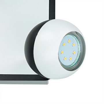 Licht-Erlebnisse Deckenstrahler NOAH, ohne Leuchtmittel, Schwarz Weiß 4-flammig GU10 Edelstahl verstellbar Modern Wohnzimmer