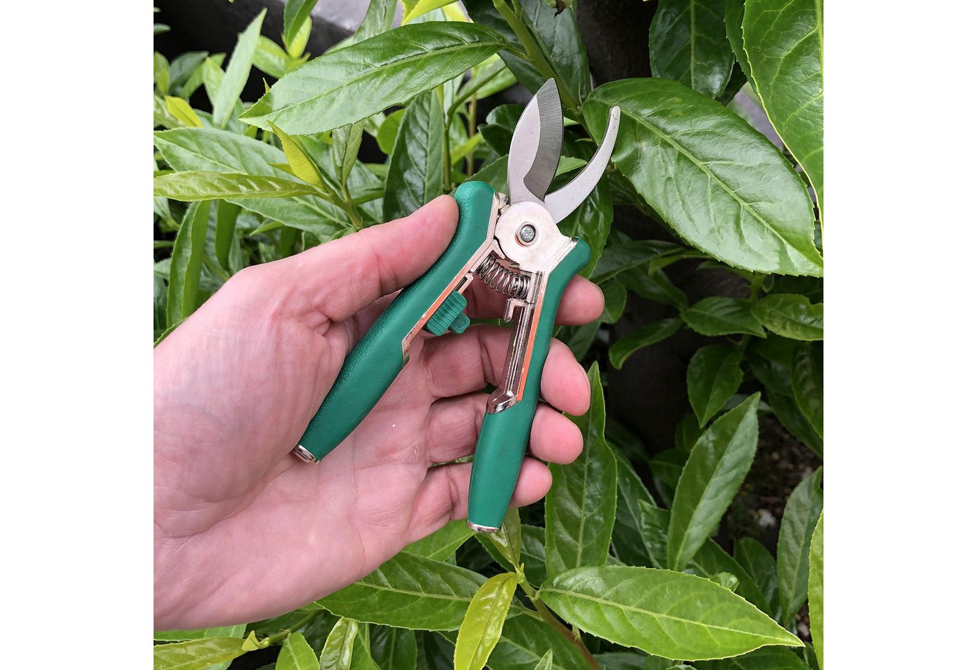 Thumbnail - TOYA Gartenschere Gartenscheren Satz 2 TLG. 150 mm Typ 99195, (2er-Set)