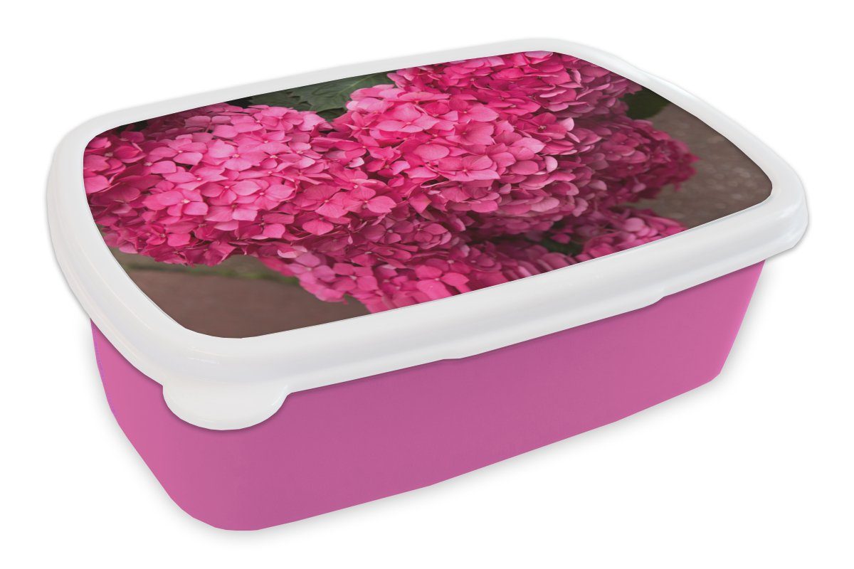 Lunchbox rosa Snackbox, Hortensienblüten, MuchoWow Mädchen, Kunststoff, Brotdose Nahaufnahme (2-tlg), Kunststoff Kinder, Brotbox für Erwachsene,