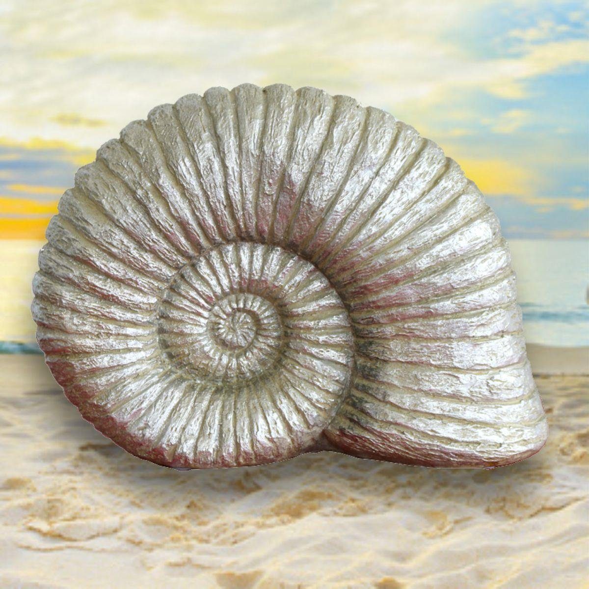 silberfarben Ammonit Dekoobjekt 440s Hilda 440s Polyresin,