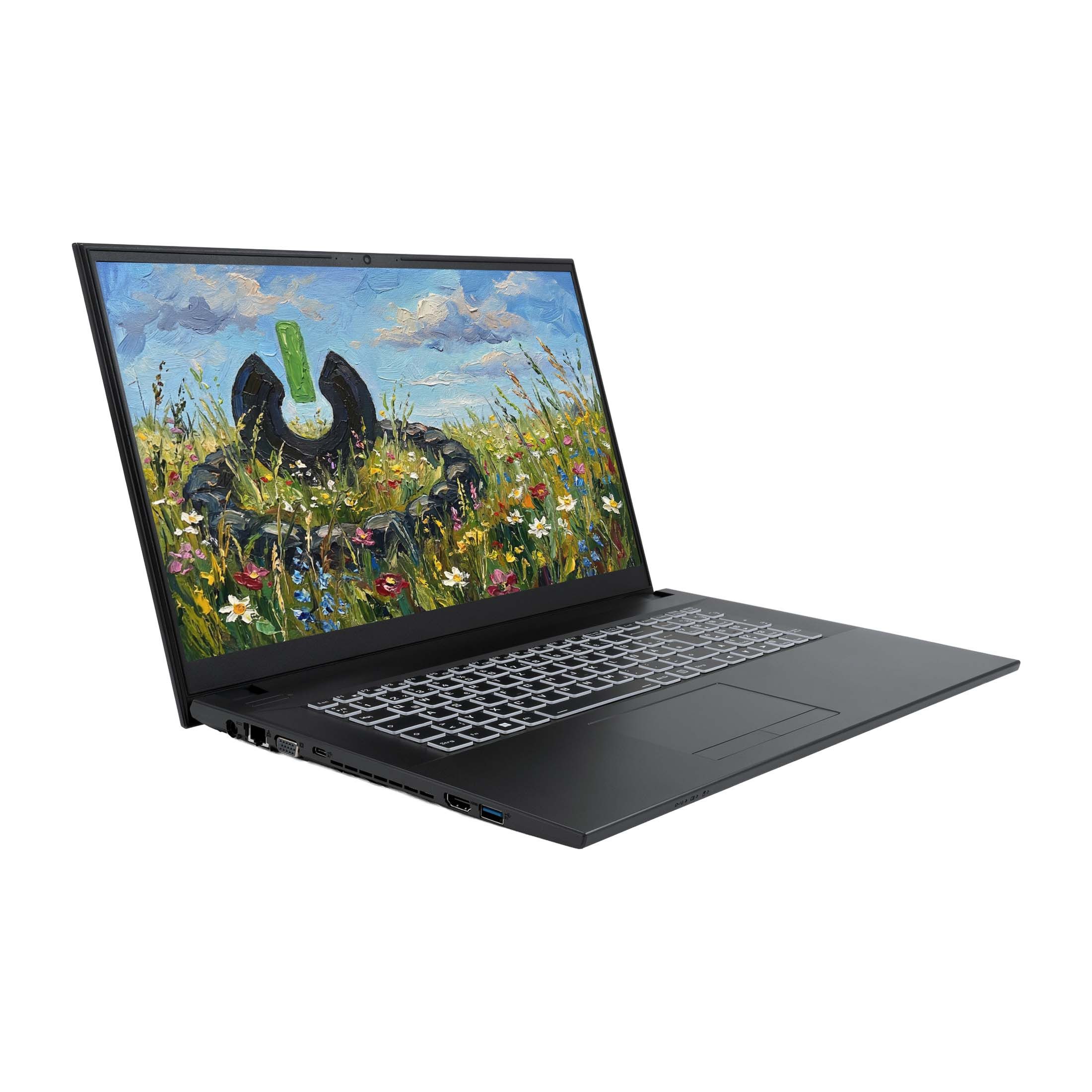 JodaBook C17 Pure - 17,3" Full-HD - Intel Core i7 1255U Notebook (43,95 cm/17,3 Zoll, Intel® Core™ i7 1255U, Iris® X?, 8 GB, 500 GB SSD)