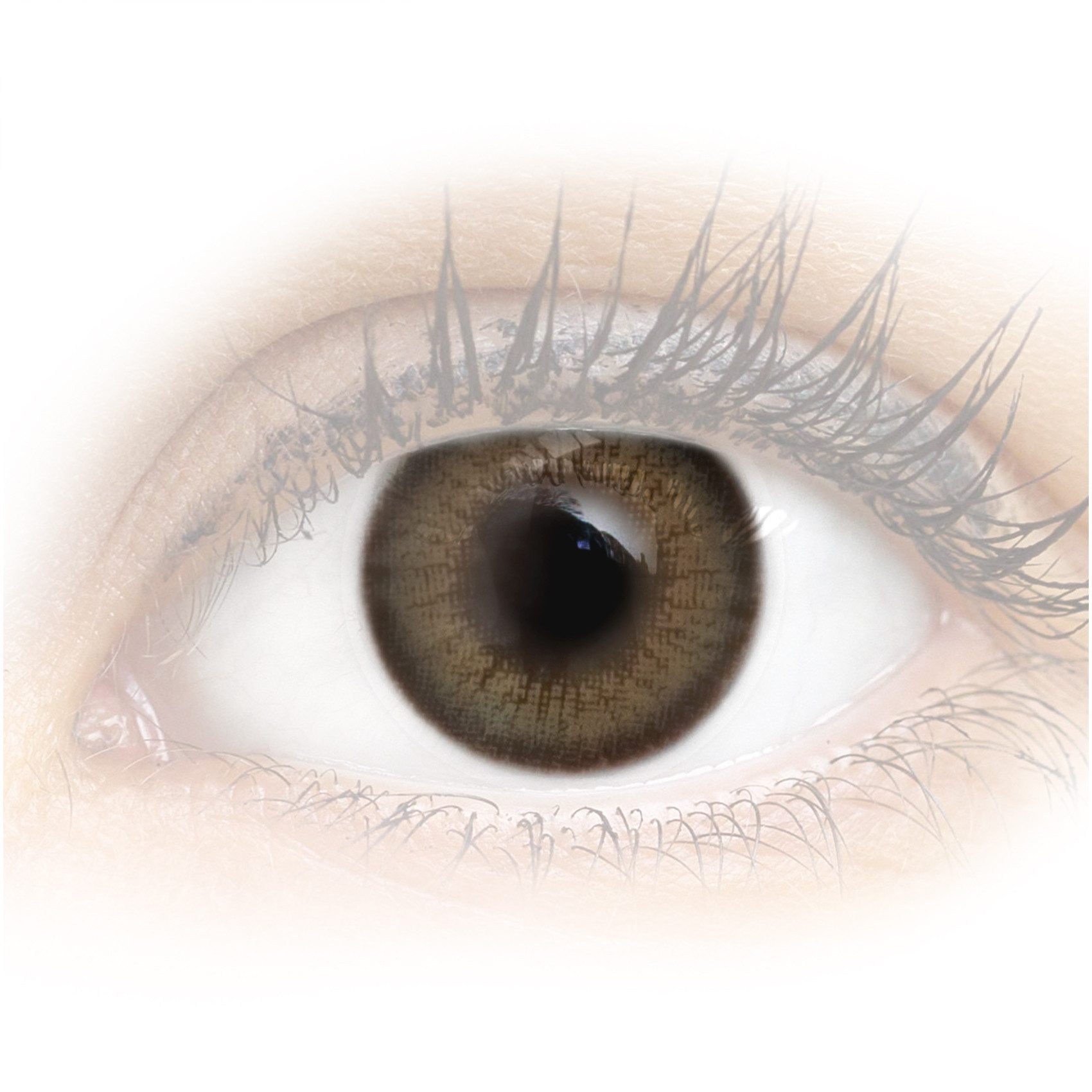 GLAMLENS Monatslinsen Sehr stark deckende und natürliche graue Kontaktlinsen "Bari Gray"