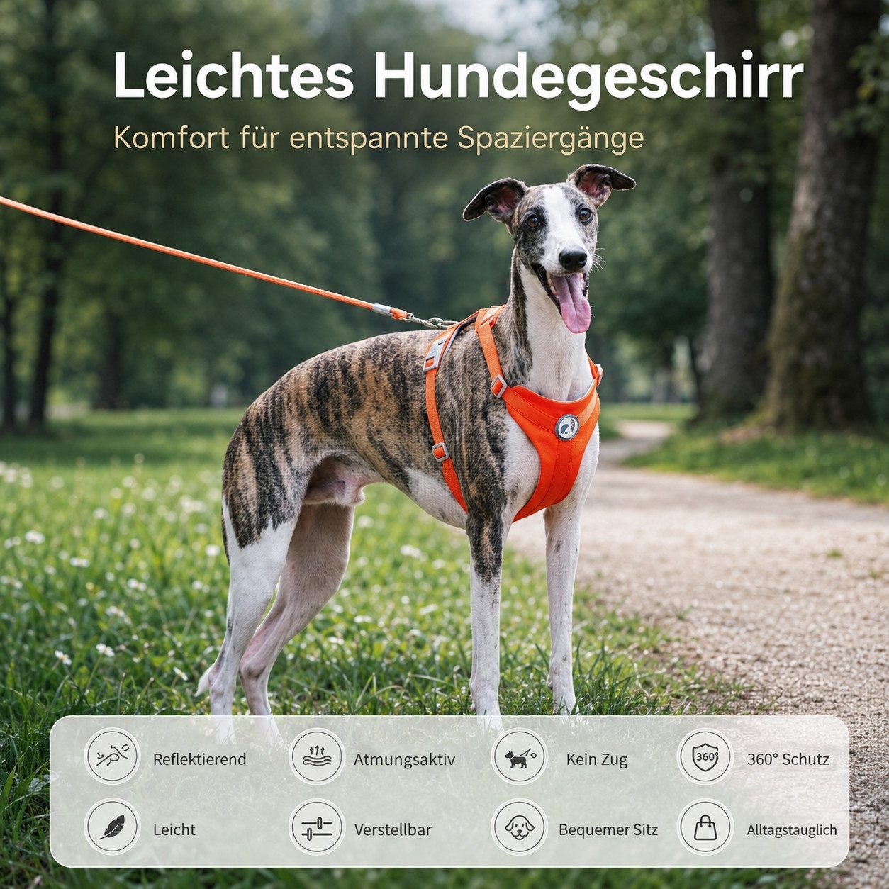 Jumpeak Hunde-Geschirr Hundegeschirr mit Leine,Anti Zug Hundegeschirr,Hundeleine 1,5 m,farbig, verstellbares Hundegeschirr,für mittelgroße und kleine Hunde