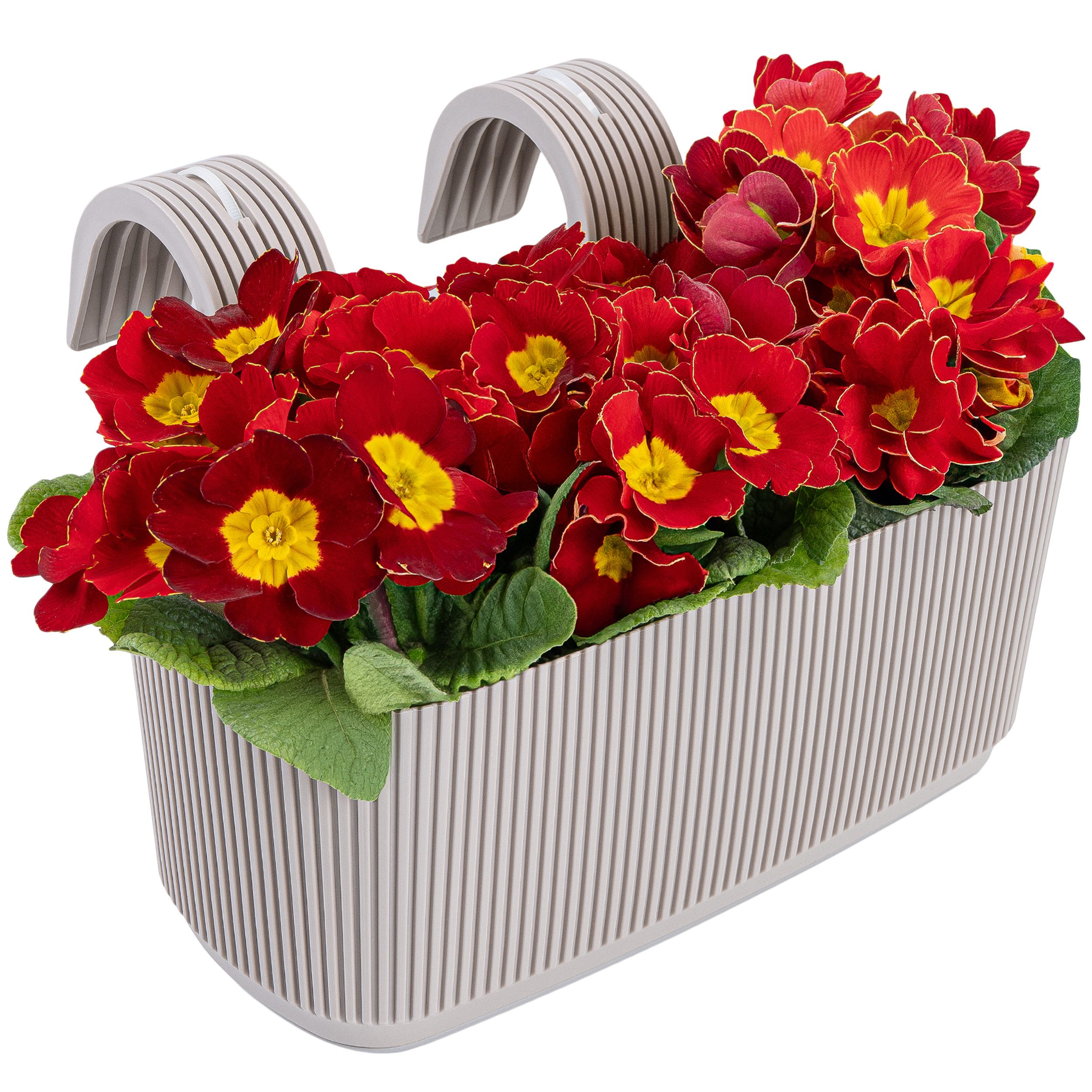 KONZEPT Balkonkasten Blumenkasten mit Halterung – günstig online kaufen