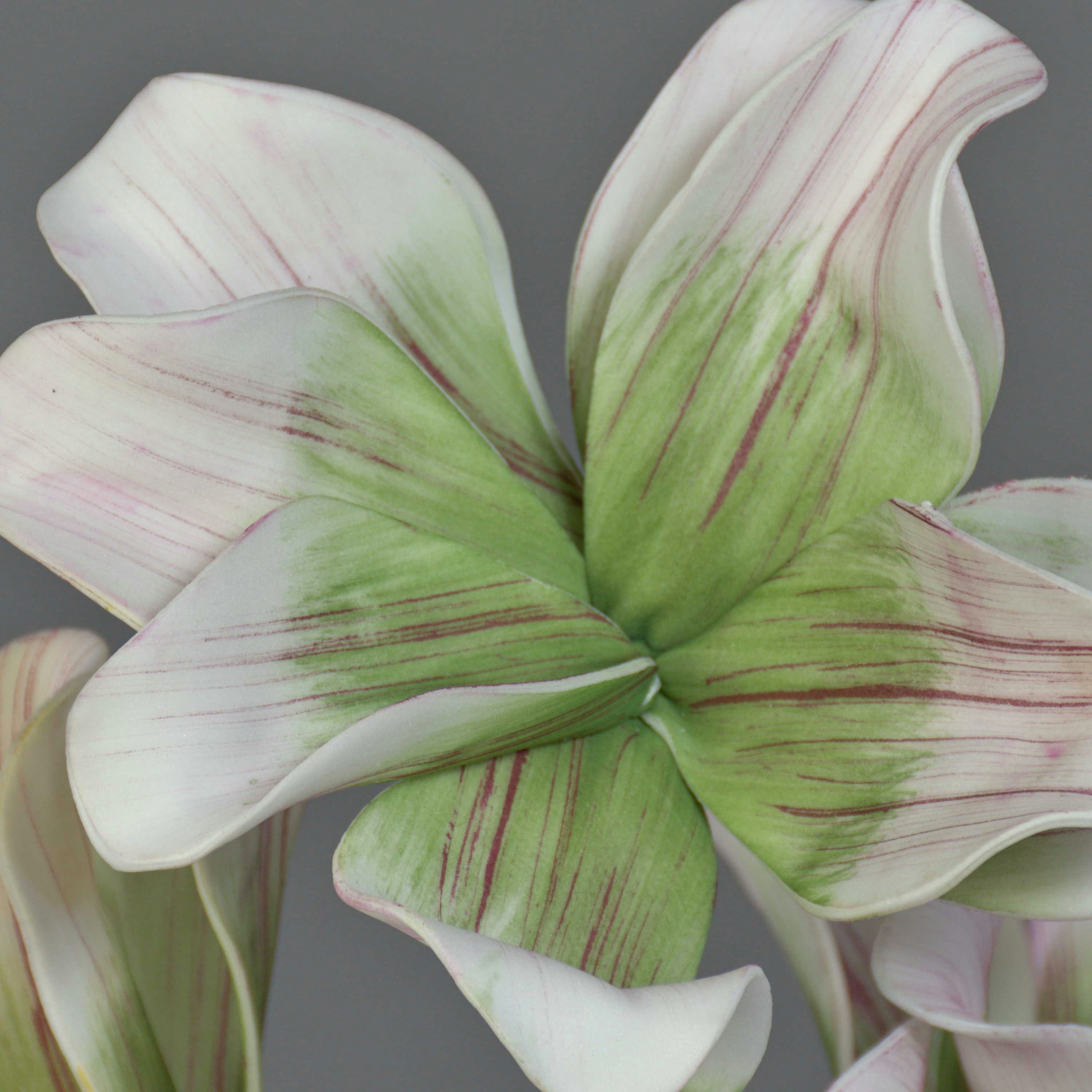 Kunstzweig Kunst Magnolia Verona, rosa-grün, 42cm Magnolie, artplants, Höhe 40.0 cm