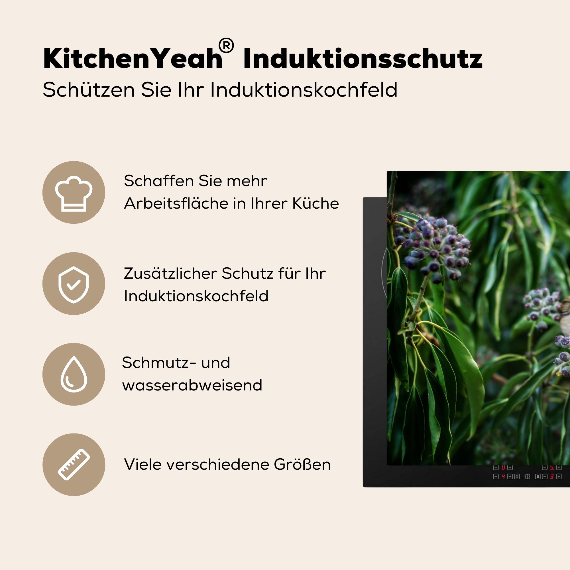 MuchoWow Herdblende-/Abdeckplatte Blumen - - 81x52 Schutz für Induktionskochfeld (1 küche, Ceranfeldabdeckung cm, Vogel Vinyl, tlg), Rotkehlchen, die