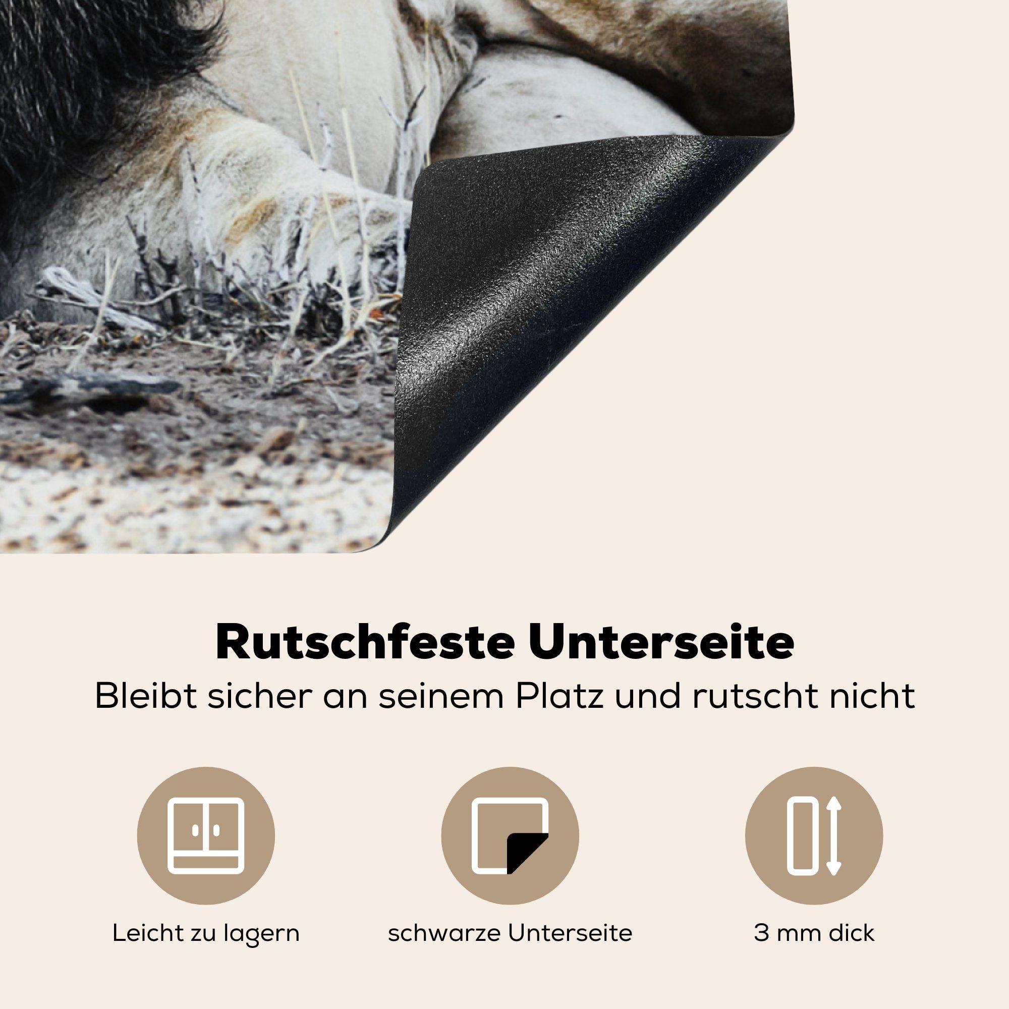 küche Ceranfeldabdeckung, Tiere MuchoWow (1 cm, für - - Arbeitsplatte 78x78 tlg), Vinyl, Porträt Farbe, Herdblende-/Abdeckplatte