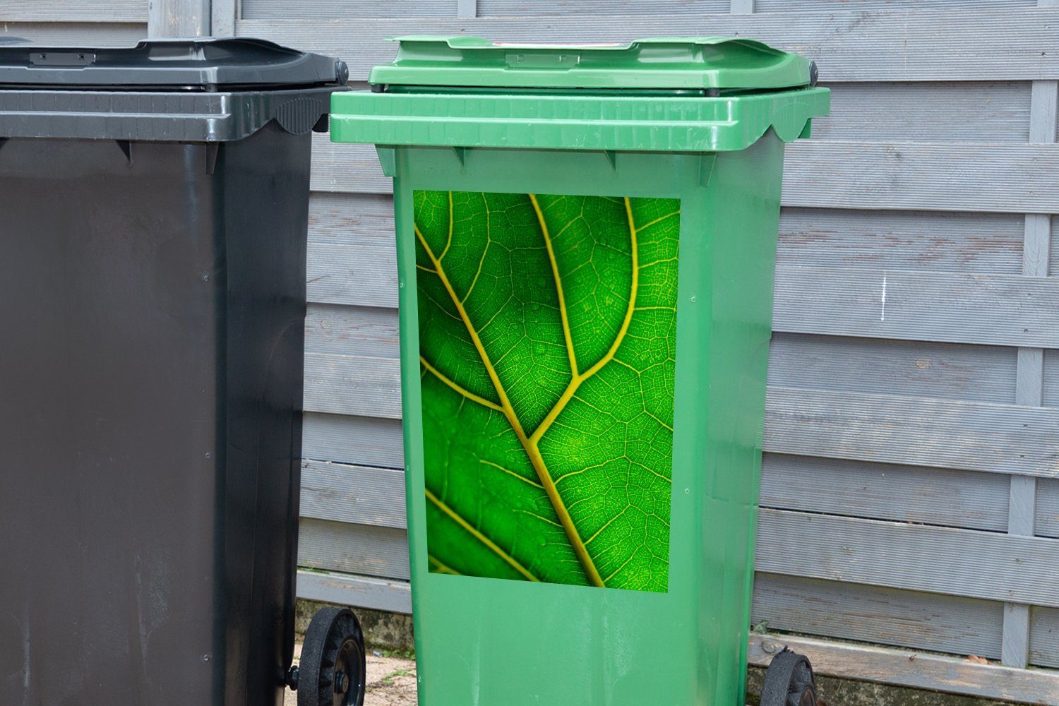 MuchoWow Wandsticker Unterseite eines großen (1 St), Sticker, Mülltonne, Abfalbehälter Mülleimer-aufkleber, grünen Blattes Container