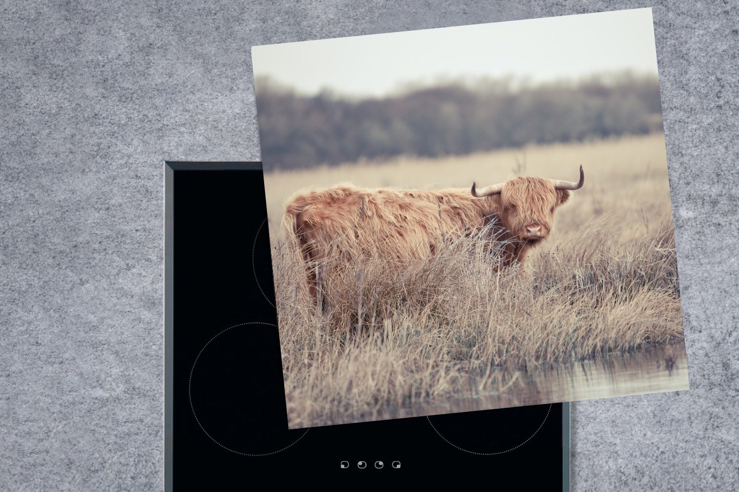 MuchoWow Herdblende-/Abdeckplatte Scottish Highlander - Vinyl, Gras, 78x78 (1 - Ceranfeldabdeckung, Arbeitsplatte cm, küche tlg), Landschaft für