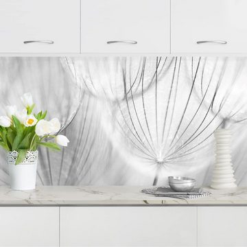 Bilderdepot24 Küchenrückwand schwarz-weiß dekor Blumen Pusteblumen Makroaufnahme in schwarz weiß, (1-tlg., Nischenrückwand - für Fliesenspiegel ohne Bohren - matt), Spritzschutz Rückwand Küche Herd - Folie selbstklebend versch. Größen