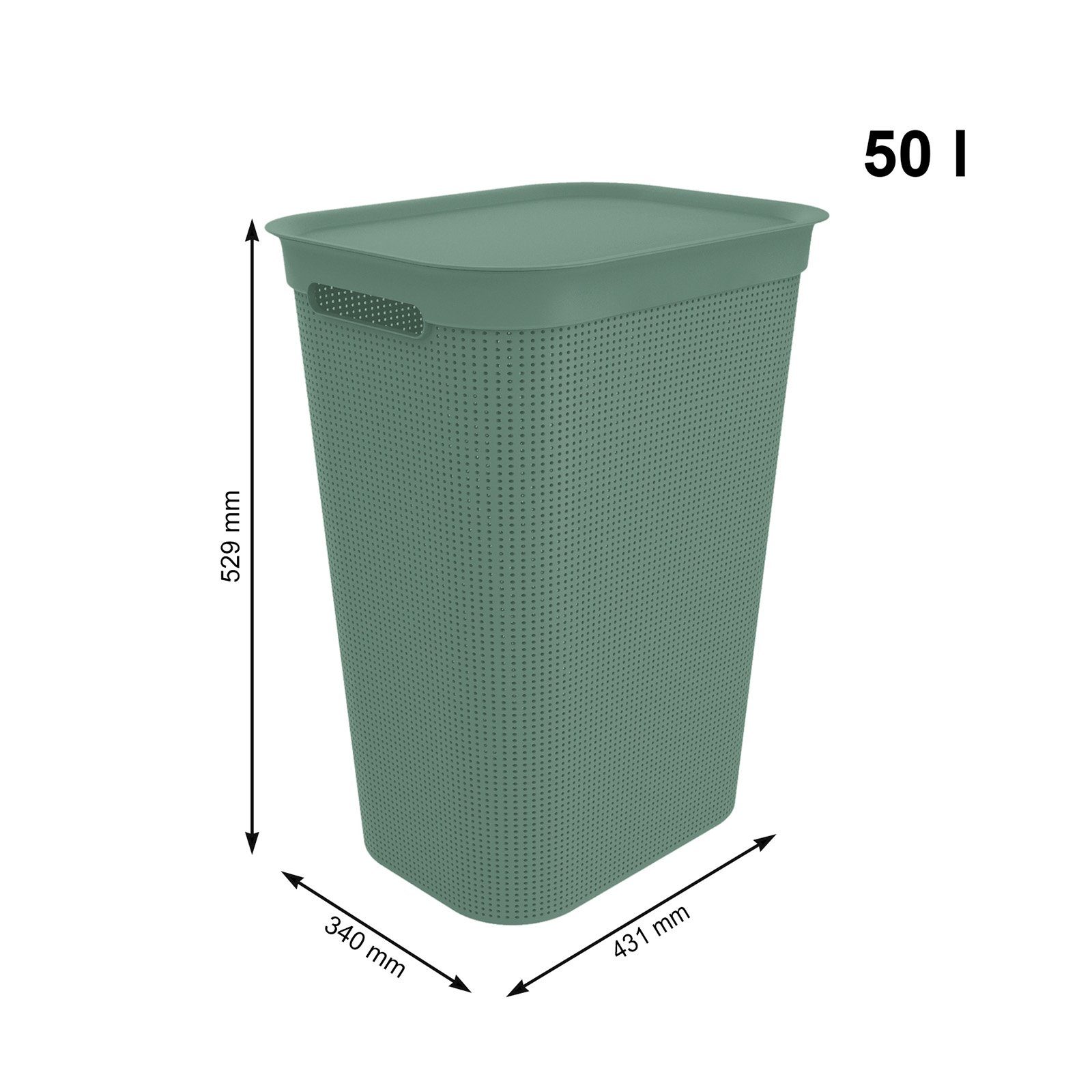 Brisen ermöglicht Luftzirkulation 50l Löcher (PP) Deckel grün Griffen, den Seiten Wäschebox Wäschesammler innerhalb Wäschekorb BPA-frei, der an ROTHO Kunststoff Mistletoe mit und 2