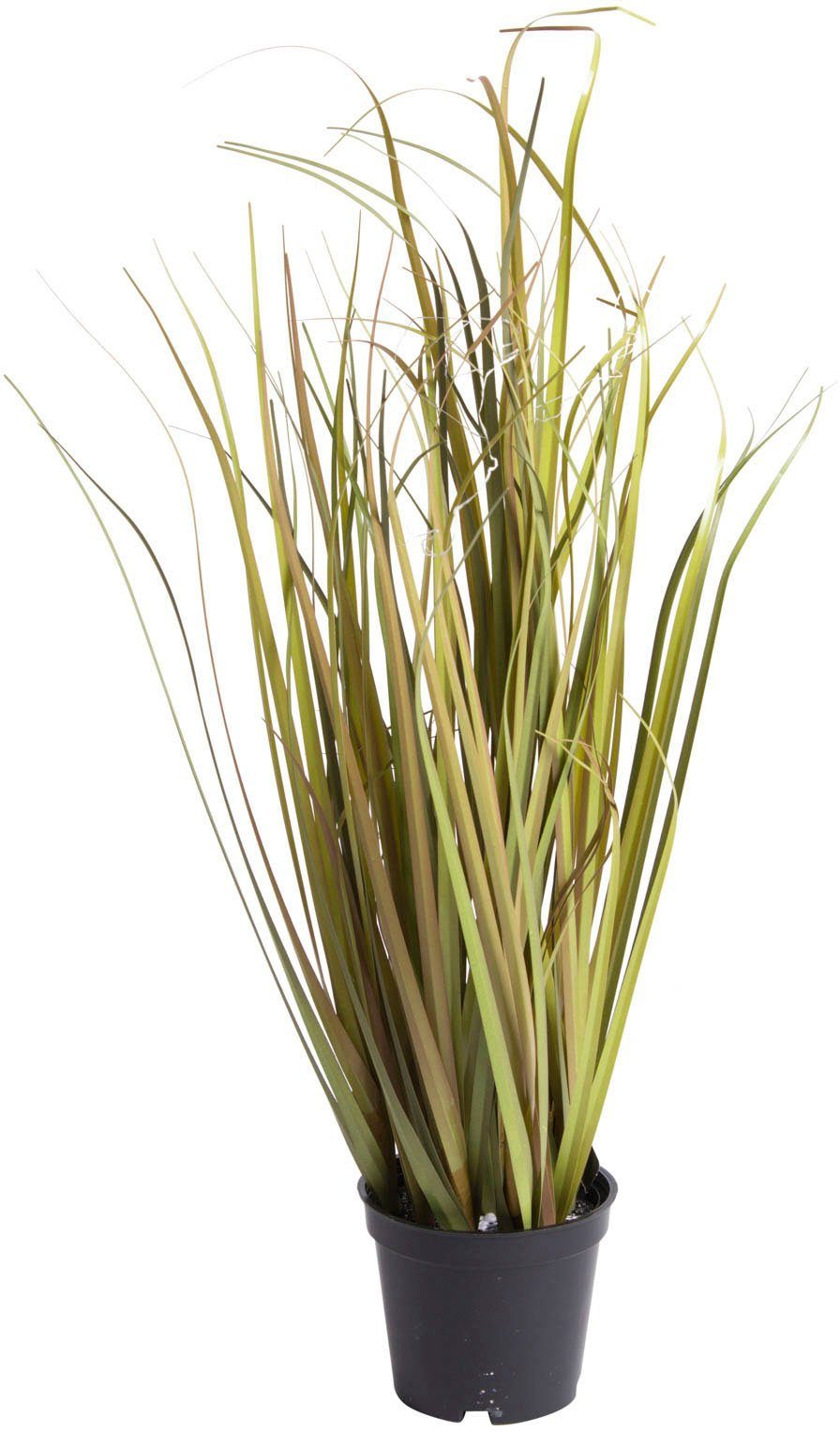 Kunstgras Grasarrangement Gras, Botanic-Haus, Höhe 48 günstig online kaufen