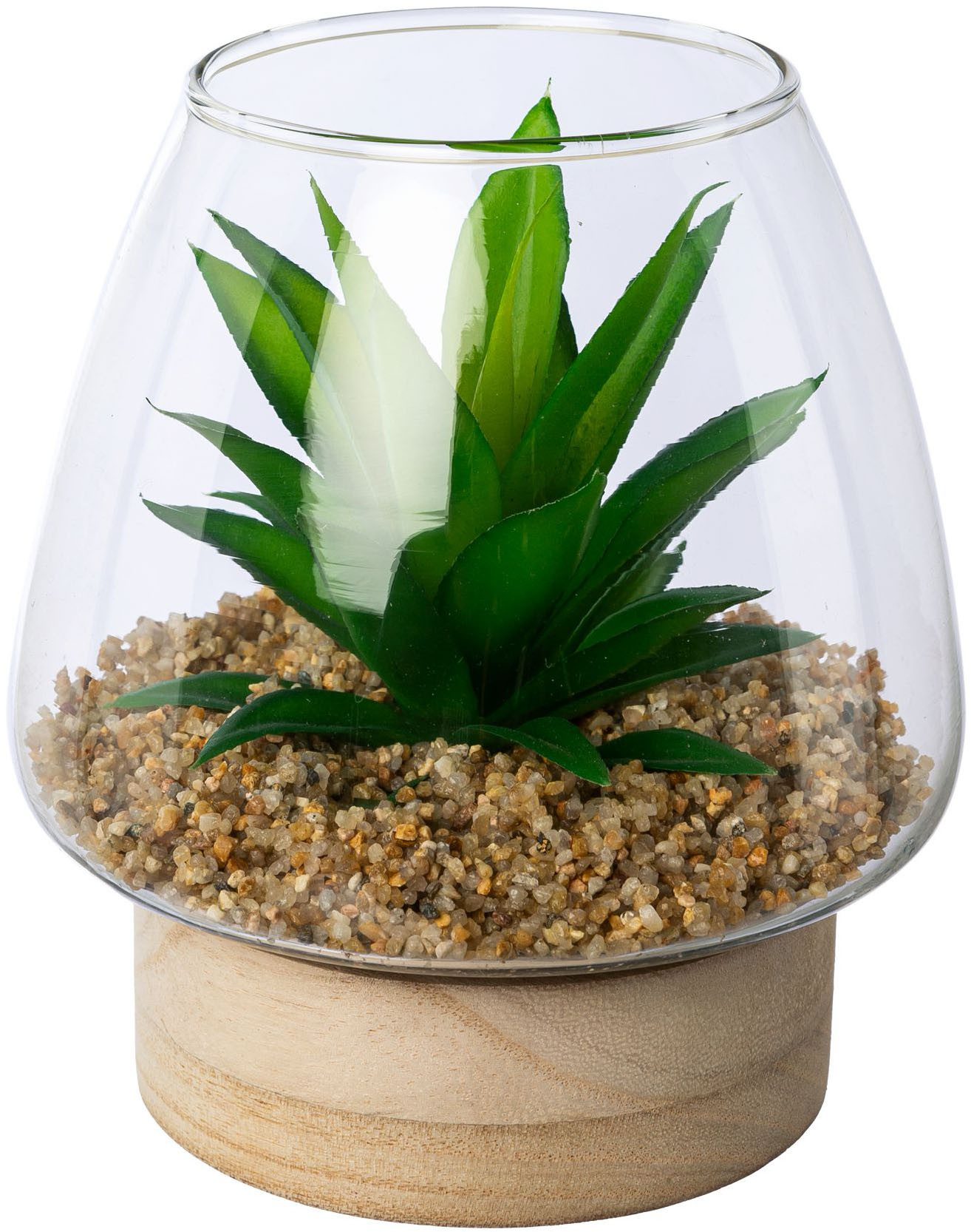 Kunstpflanze Sukkulenten im Glasgefäß, Creativ green, Höhe 14 cm, mit 2 ver günstig online kaufen