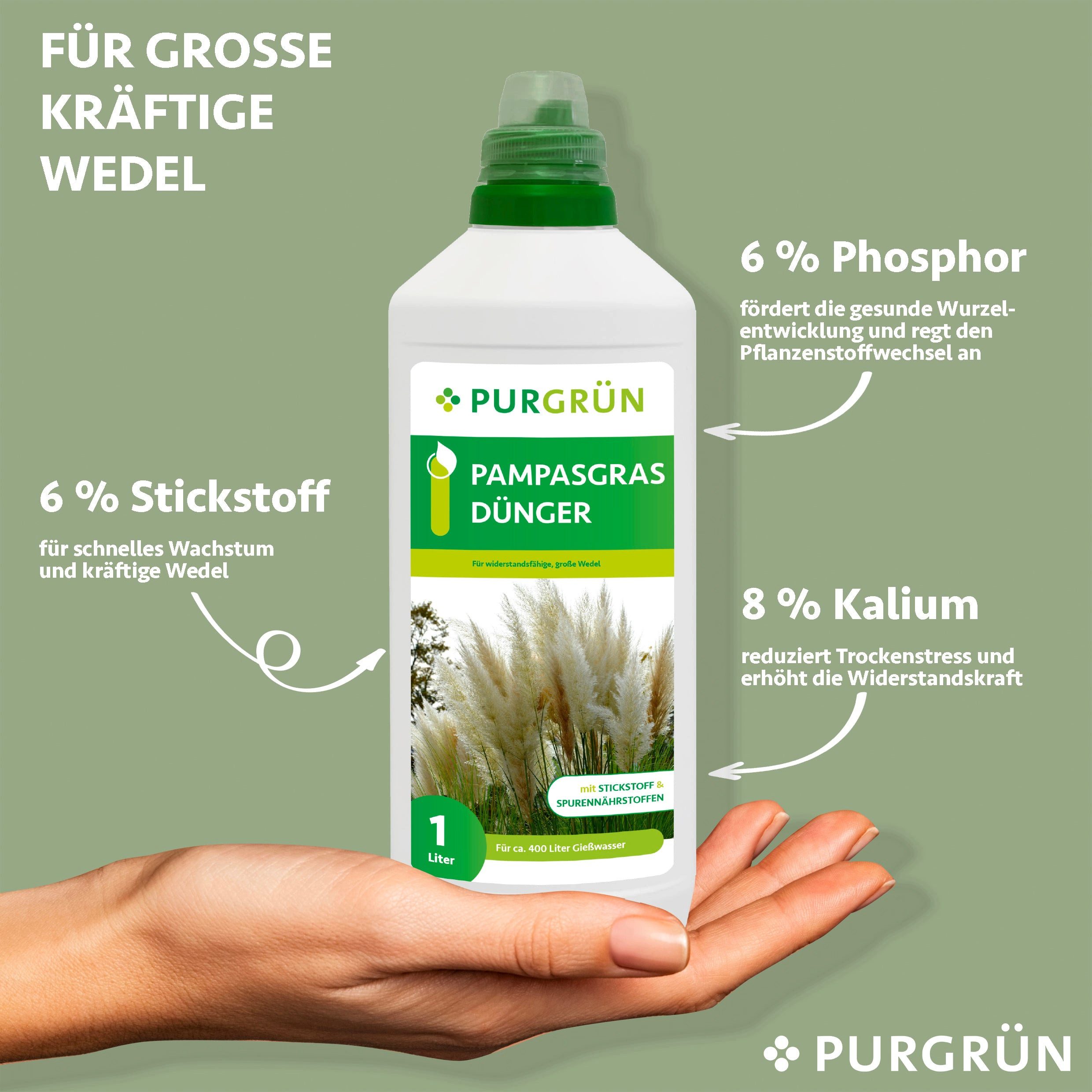 Purgrün Universaldünger Purgrün Pampasgras Dünger, NPK günstig online kaufen