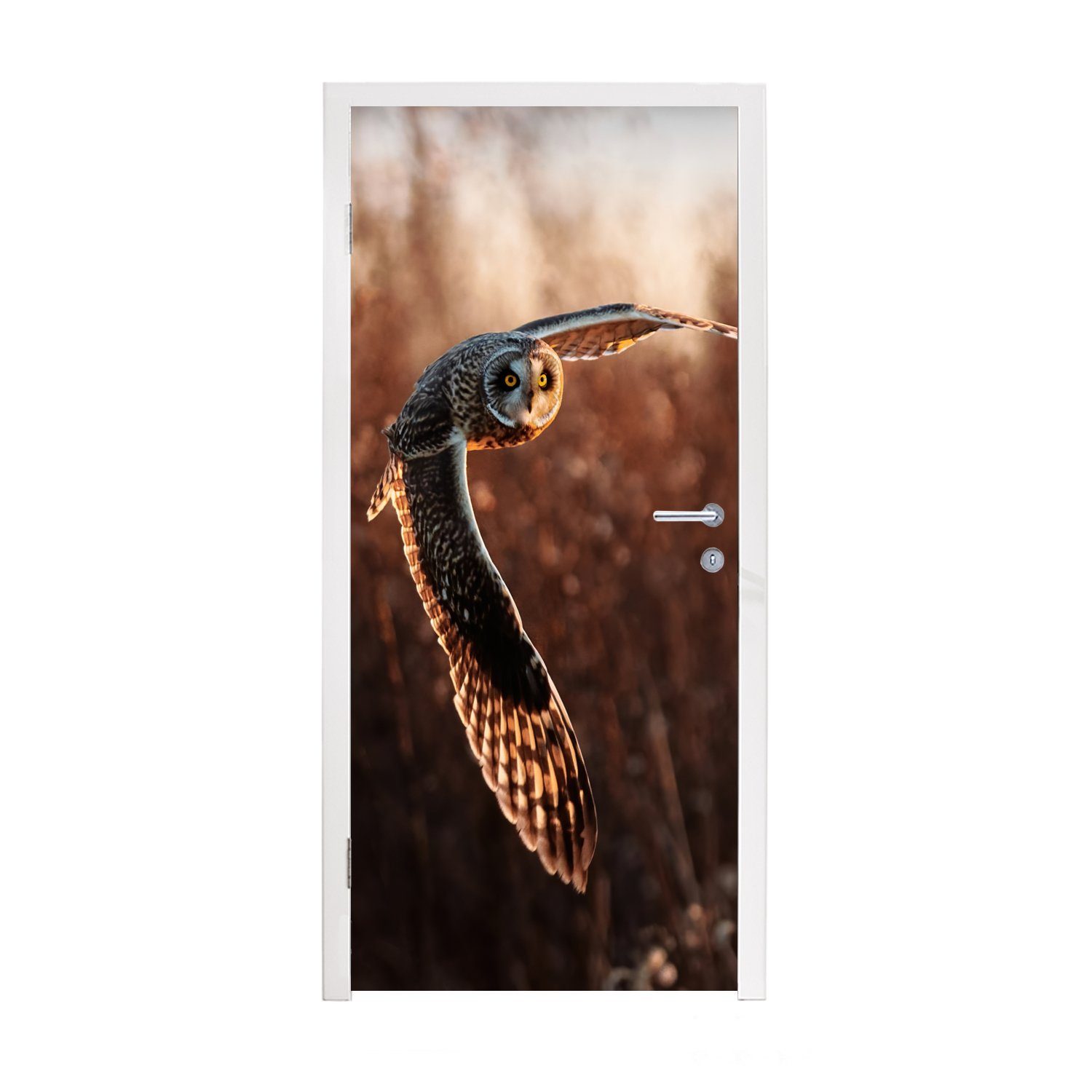 MuchoWow Türtapete Vogel - Eule - Sonnenuntergang - Natur, Matt, bedruckt, (1 St), Fototapete für Tür, Türaufkleber, 75x205 cm