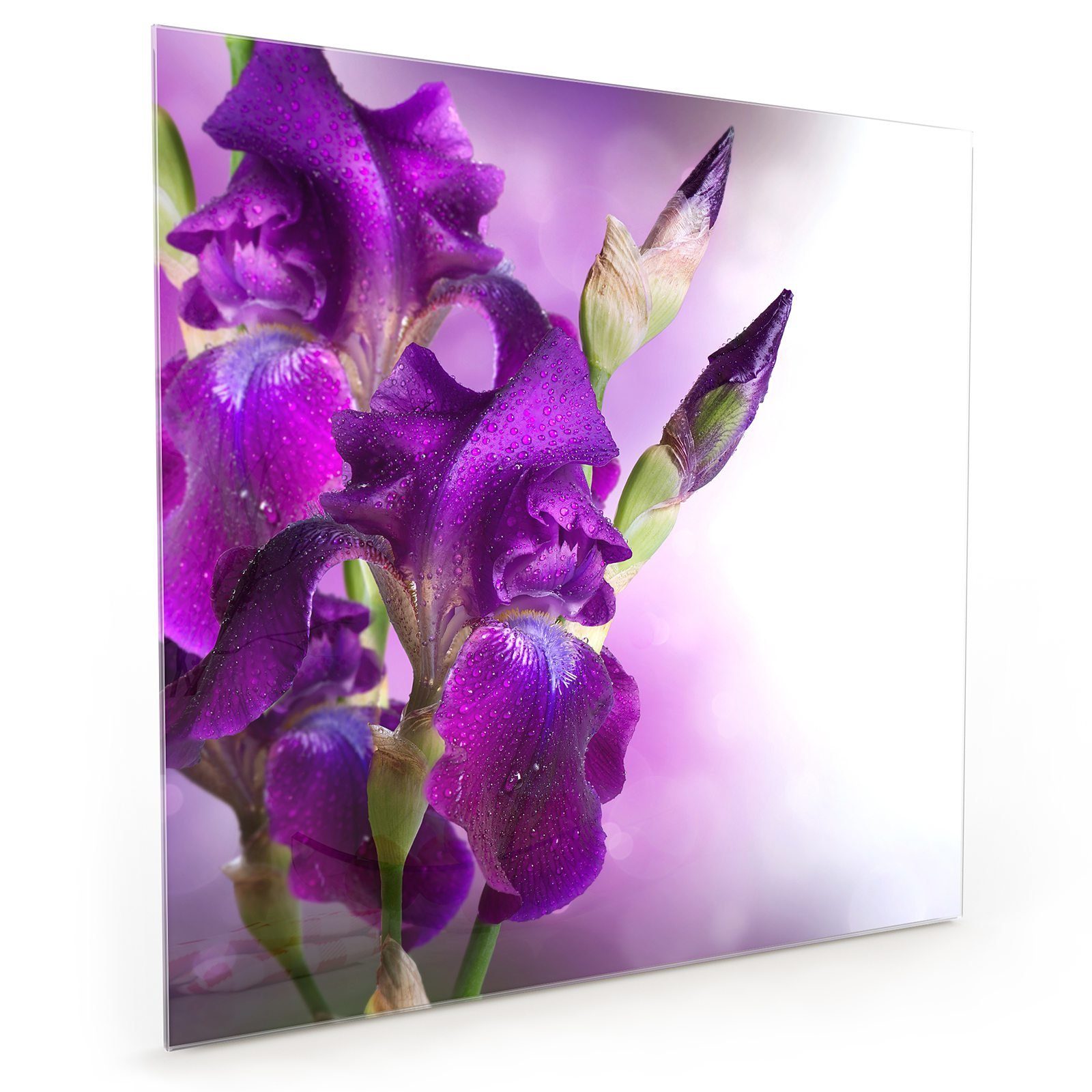 Primedeco Küchenrückwand Spritzschutz Glas Violett blühende Blüten