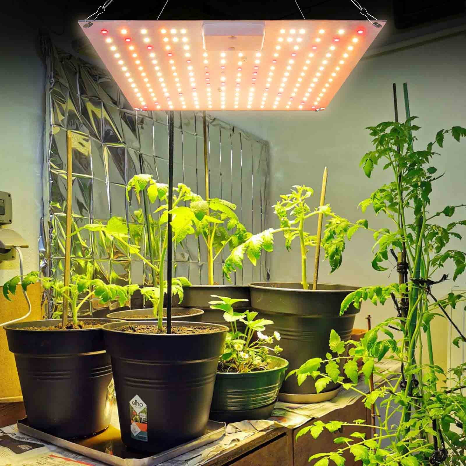 Jibenhome Pflanzenlampe LED Grow Lampe Pflanzenlicht günstig online kaufen