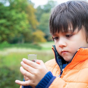 Belle Vous Handlupe Becherlupen - 12 Stück für Naturforschung und Insektenbeobachtung, 1-tlg., Becherlupen - 12er Pack für Wissenschaft und Käfersammeln