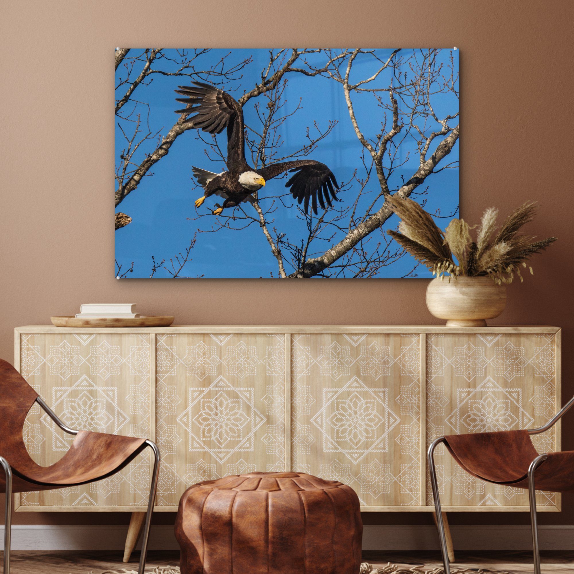 MuchoWow Acrylglasbild Weißkopfseeadler (1 Himmel den fliegt & St), Tennesee, Schlafzimmer Wohnzimmer durch blauen Acrylglasbilder von