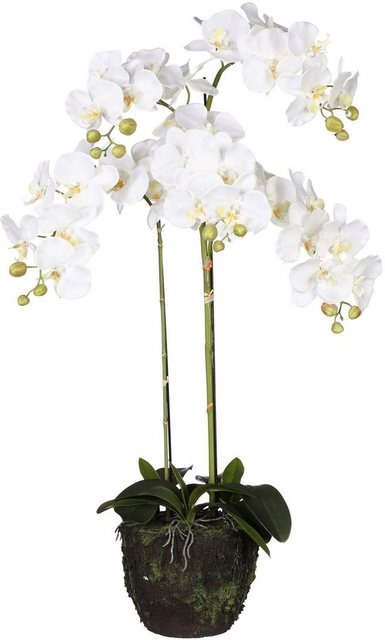 Kunstorchidee »Phalaenopsis«, Creativ green, Höhe 100 cm, im Ballen-Otto