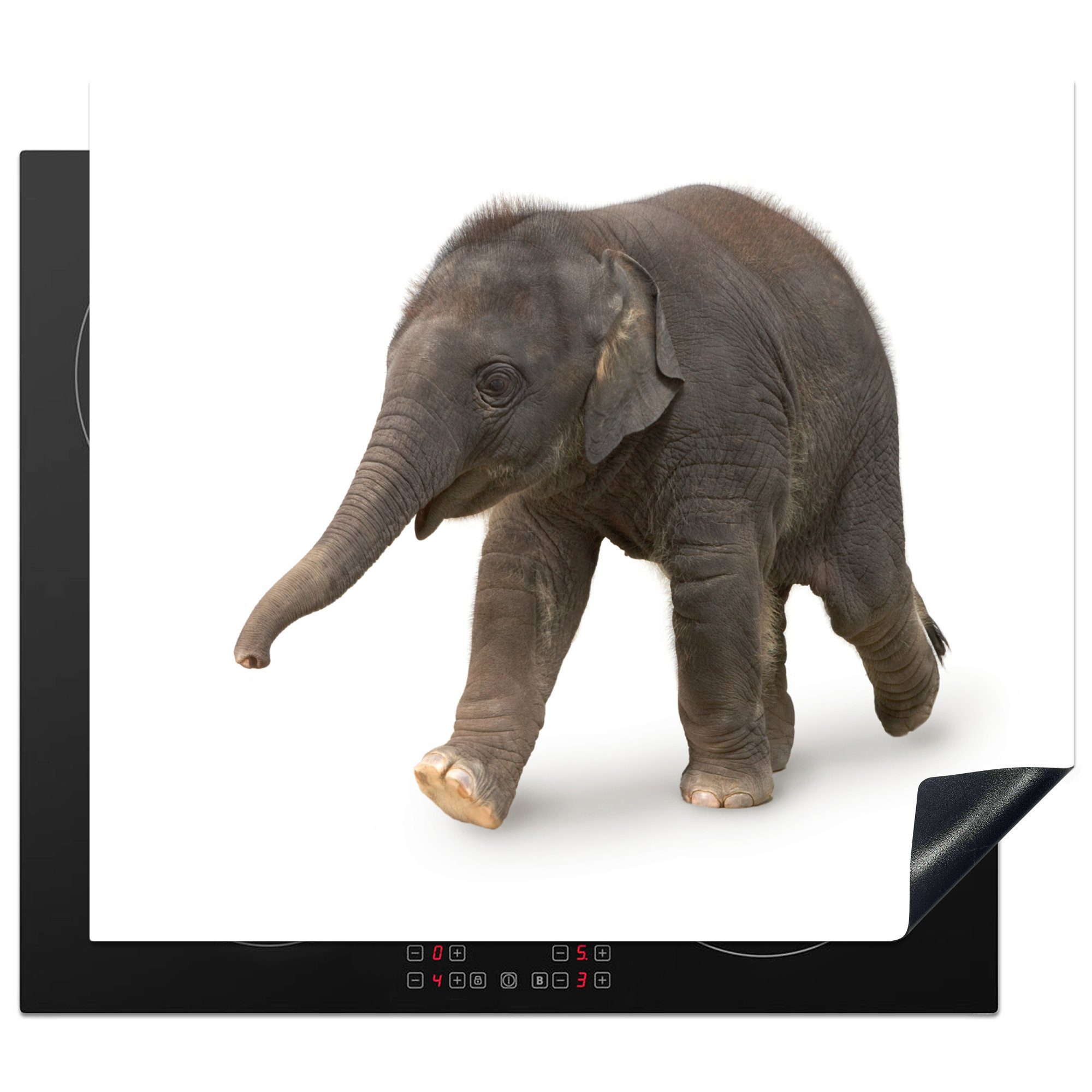 59x52 Induktionsmatte für Ceranfeldabdeckung Elefant die MuchoWow auf cm, küche, tlg), Vinyl, Hintergrund, Kleiner weißem Herdblende-/Abdeckplatte (1