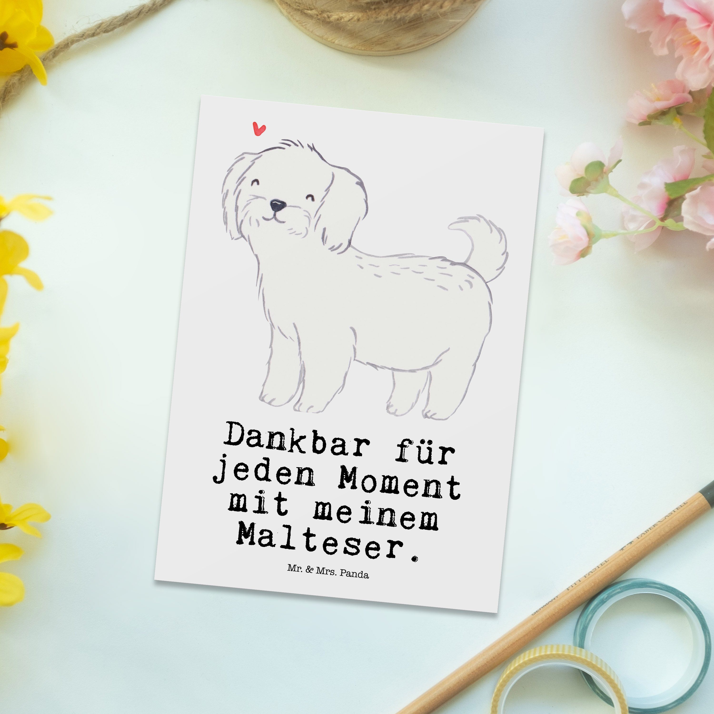 Mr. & Mrs. Panda Postkarte - Moment Dankeskarte, Geburtstagskarte, - Hun Malteser Weiß Geschenk