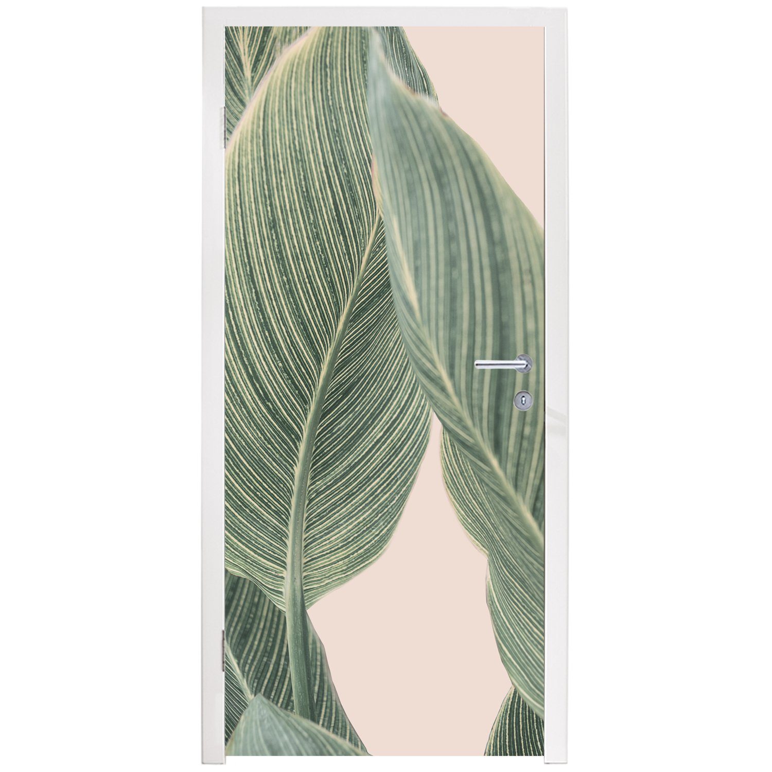 Matt, Pflanze - MuchoWow - bedruckt, (1 75x205 St), Tür, cm für Türtapete Türaufkleber, Grün Natur Beige, - Fototapete