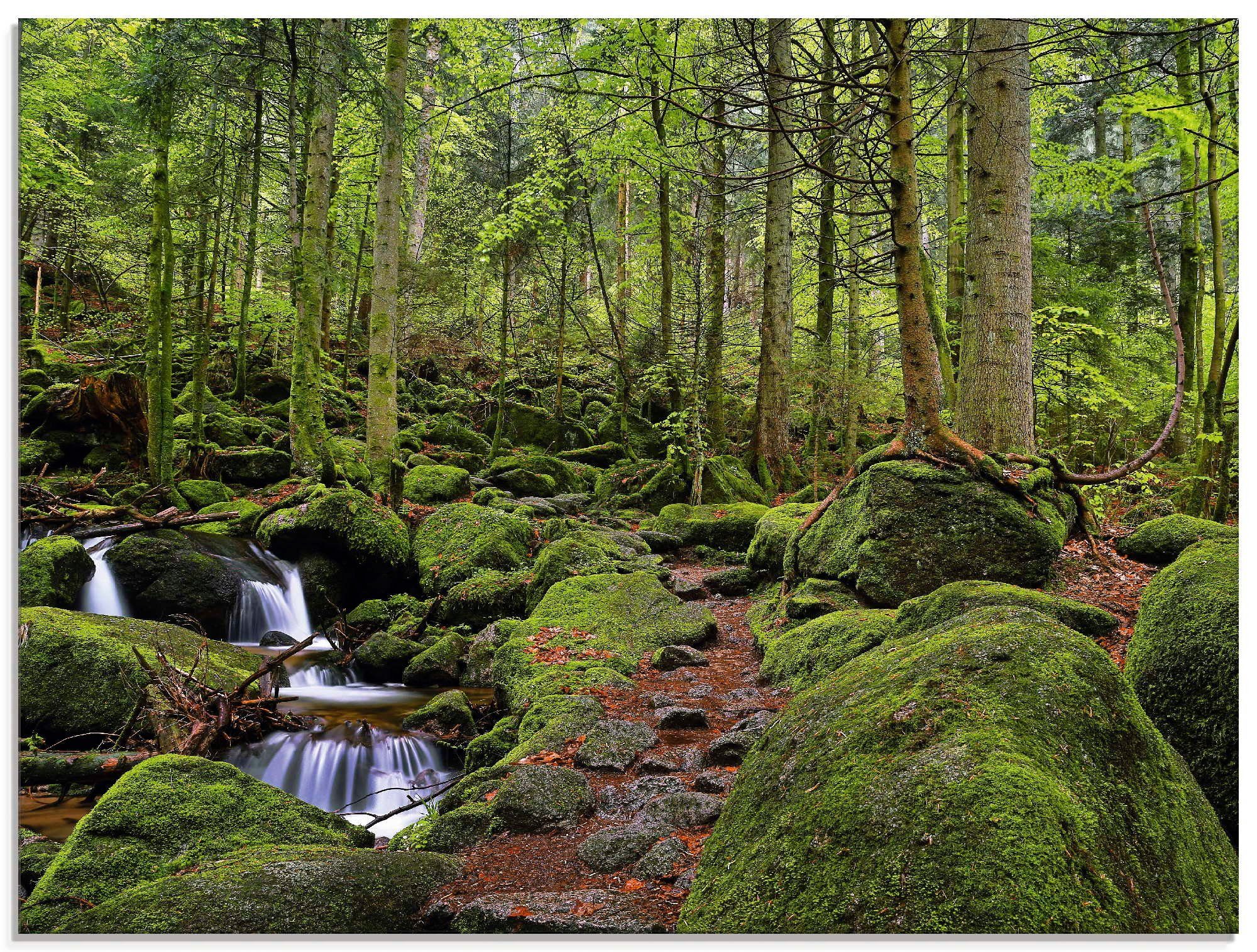 Artland Glasbild Zauberwald mit Bach, Wald (1 St), in verschiedenen Größen