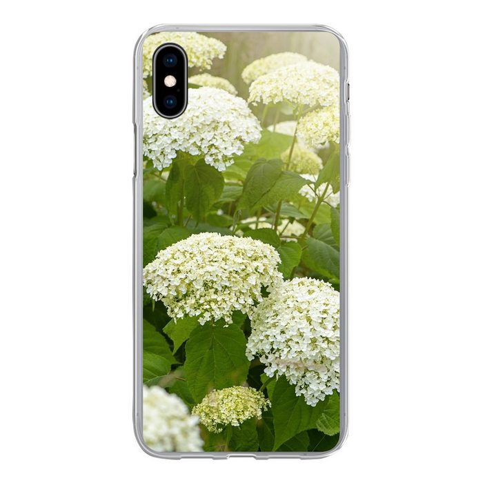 MuchoWow Handyhülle Ein Meer von weißen Hortensien Handyhülle Apple iPhone Xs Max Smartphone-Bumper Print Handy
