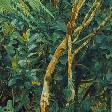 Komar Fototapete Vlies Fototapete - Jungle Lands - Größe 400 x 250 cm, glatt, bedruckt, (Packung, 1 St)