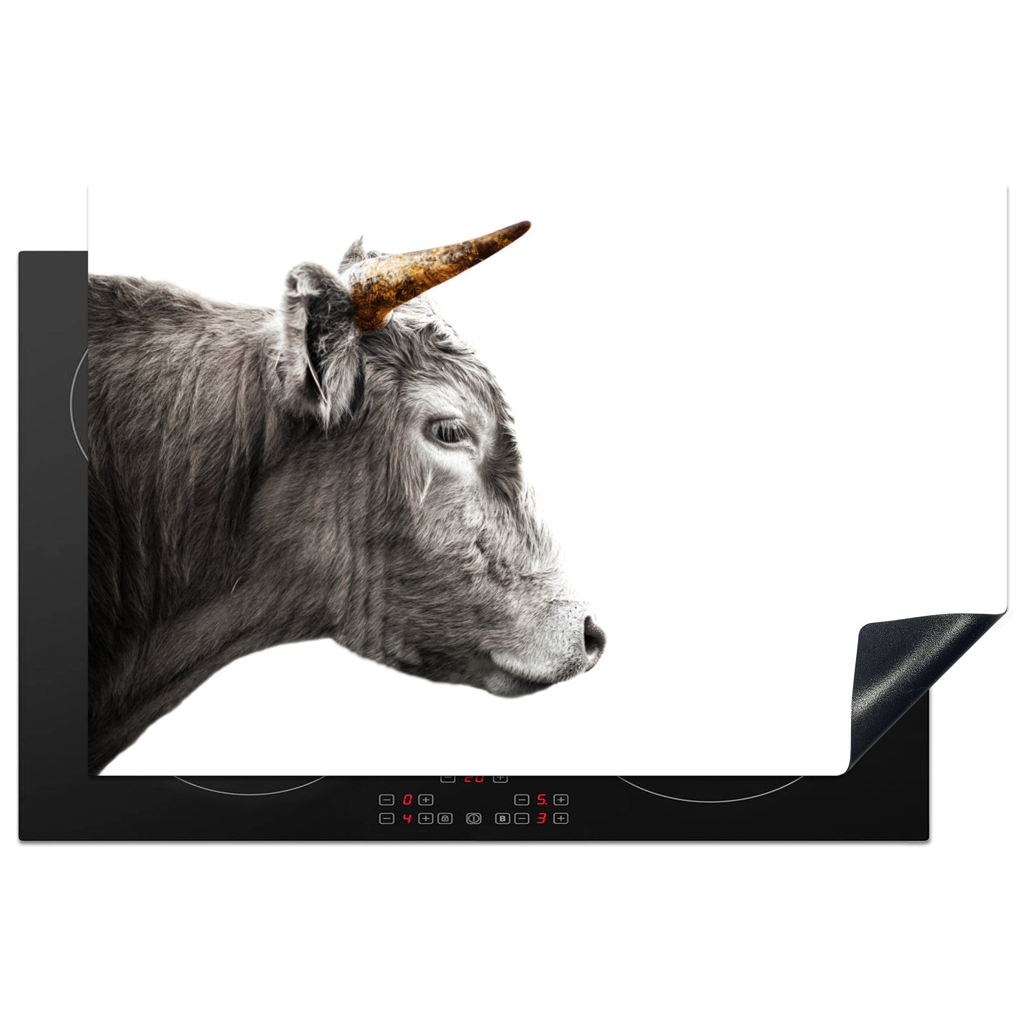 MuchoWow Herdblende-/Abdeckplatte Horn Tiere Highlander für - Ceranfeldabdeckung küche, 81x52 - Schottischer Vinyl, Induktionskochfeld die Schutz Gold, (1 cm, tlg), 