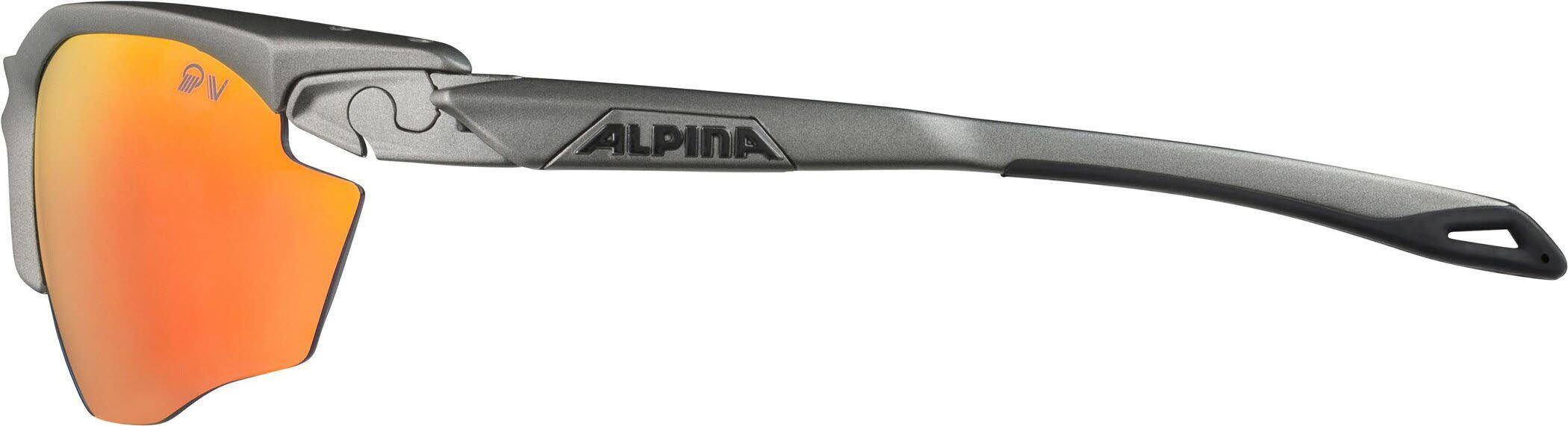 Alpina Skibrille Grau